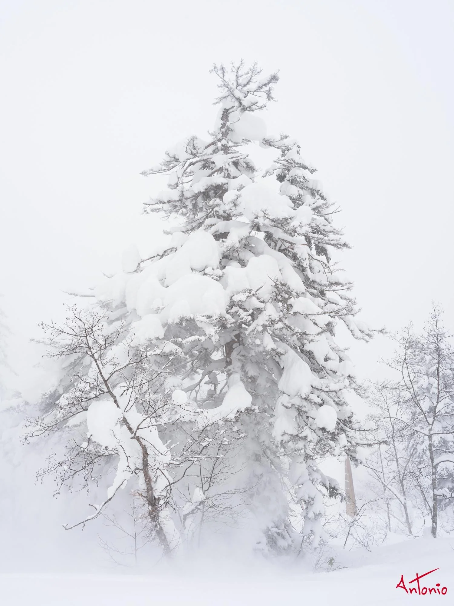 20240110_122631 B0003363 Hokaido.jpg