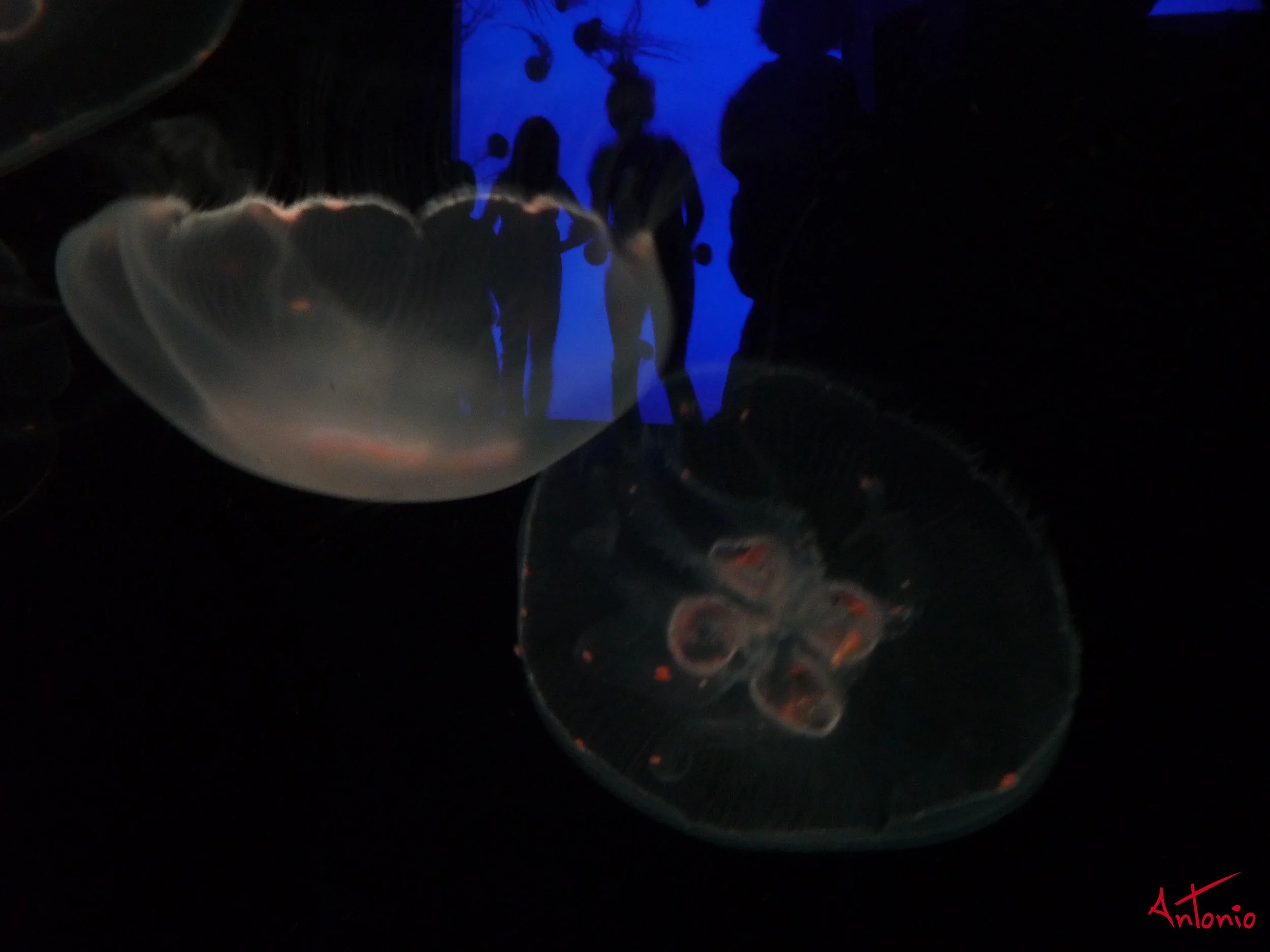 20081019_093442 Atlanta.jpg