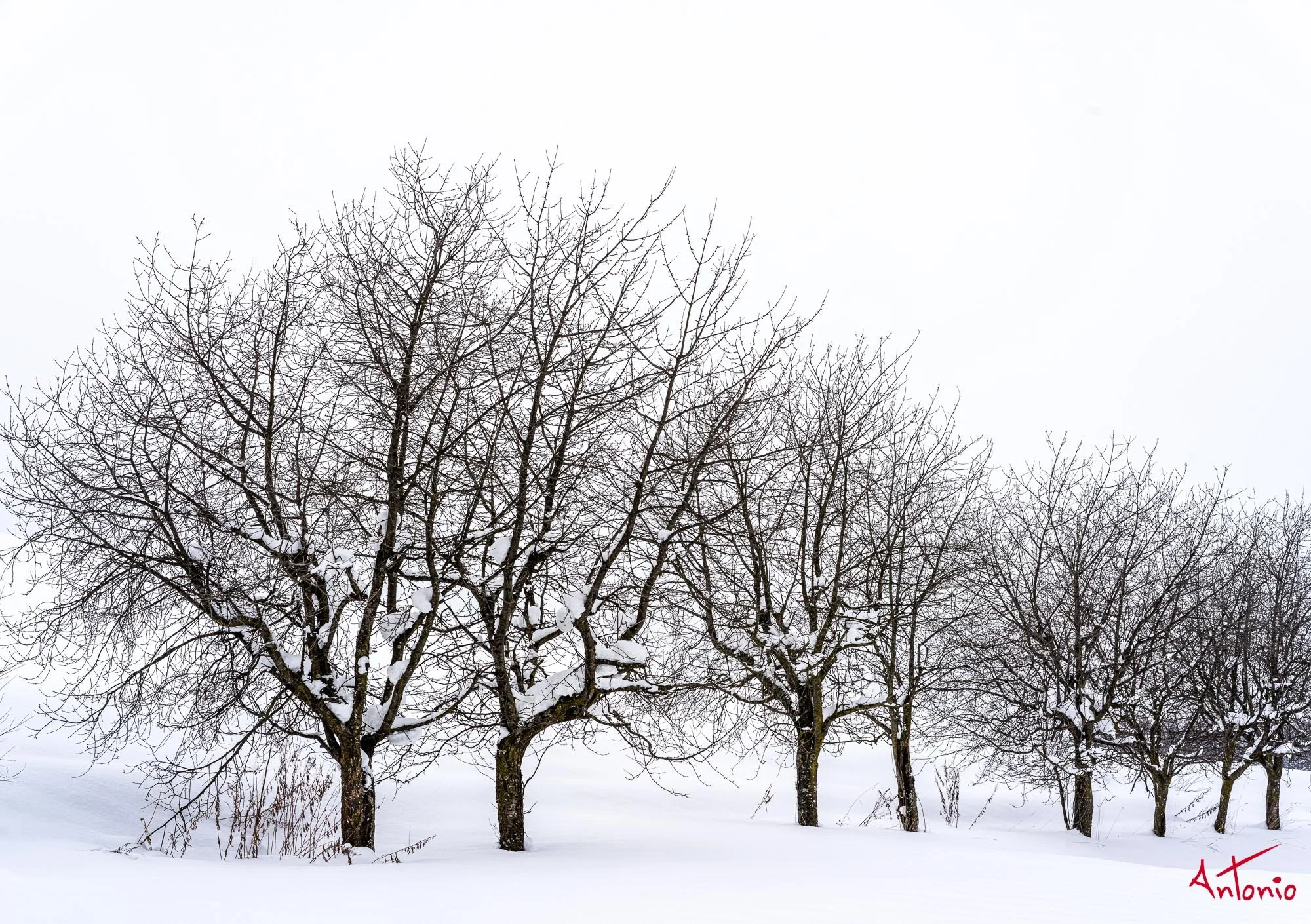 20240109_111759 B0003134 Hokaido.jpg