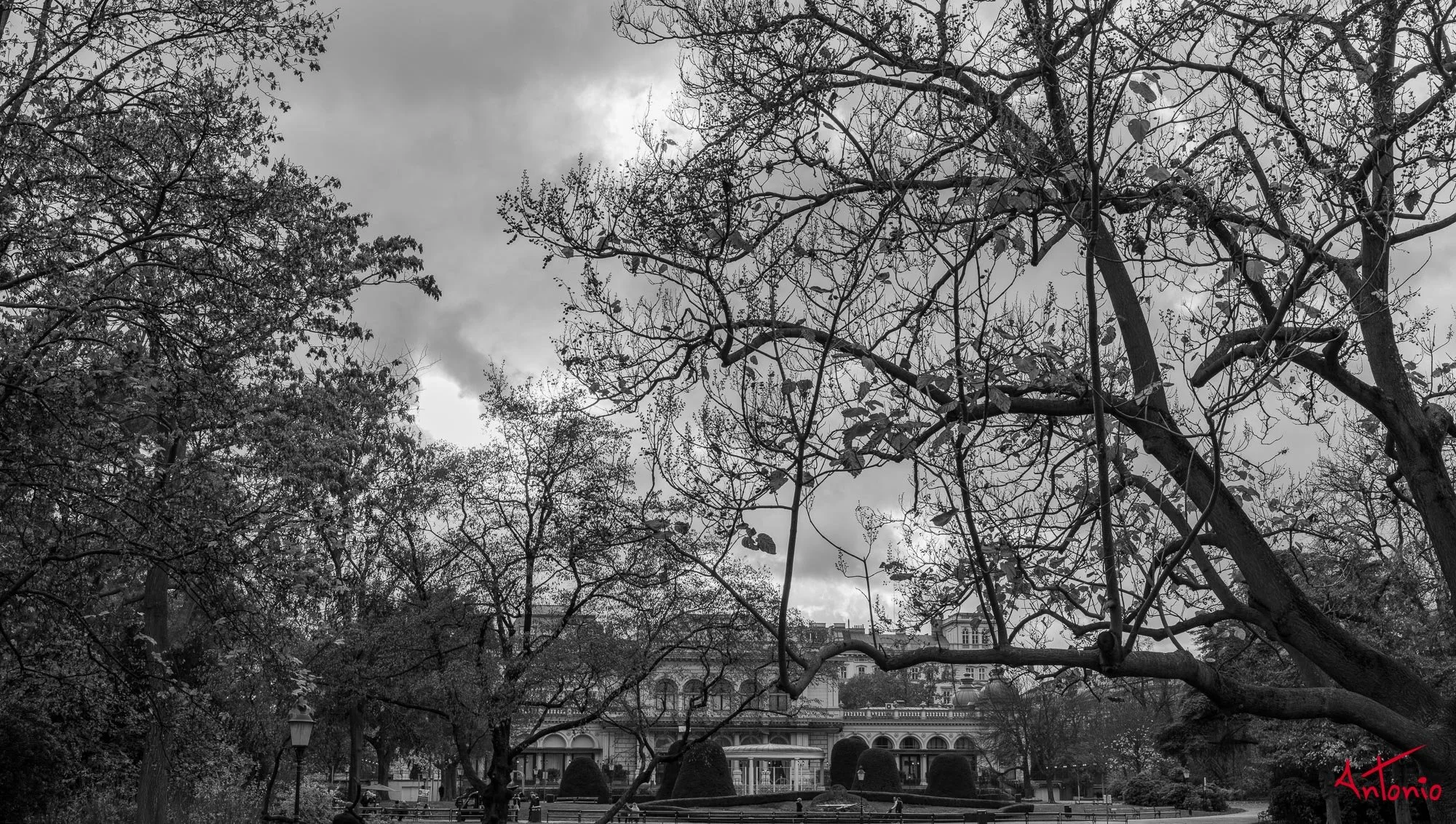 20221126_064819 B0000045 Viena.jpg