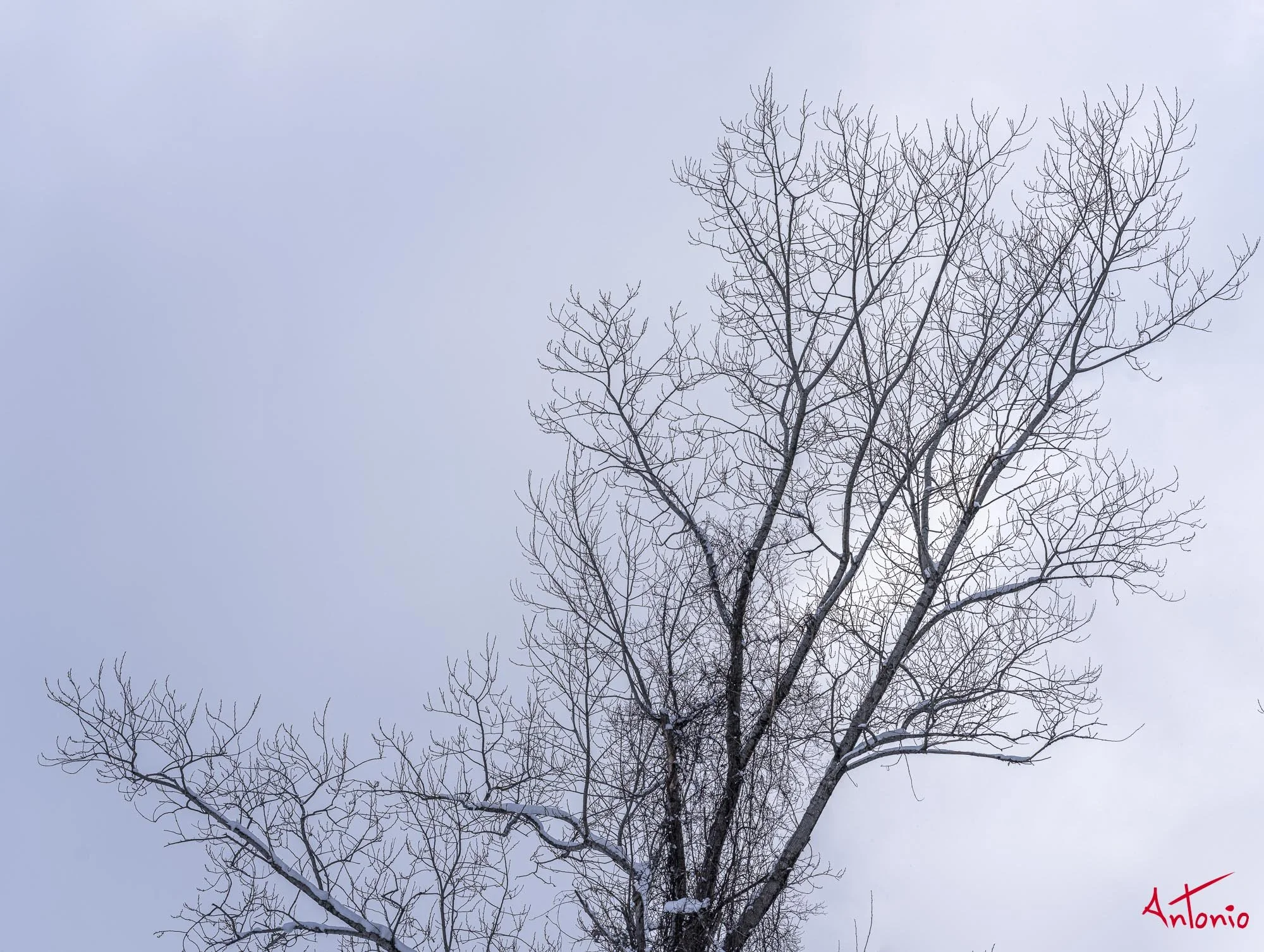 20240108_135339 B0002960 Hokaido.jpg