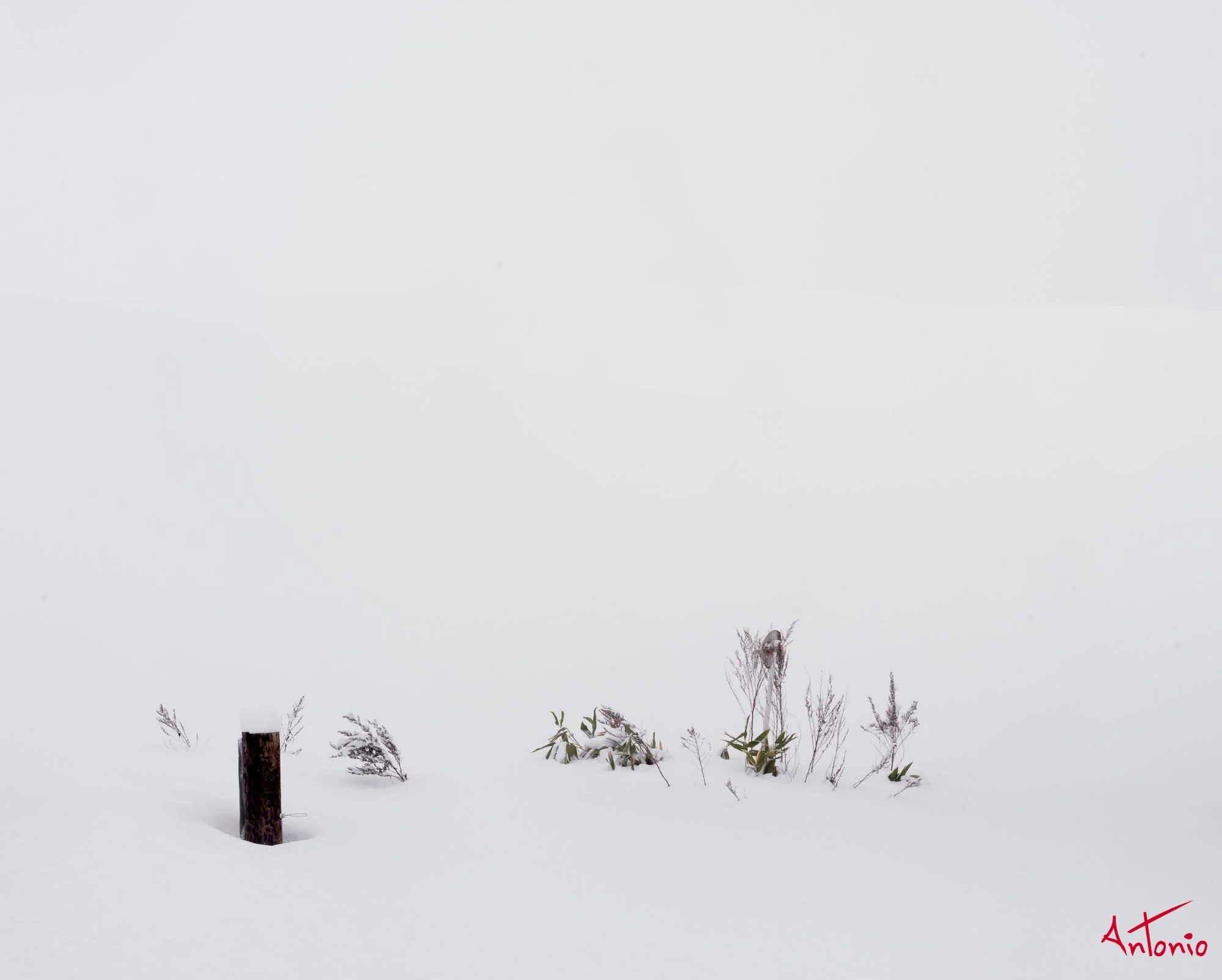 20240116_122738 B0004514 Hokaido.jpg