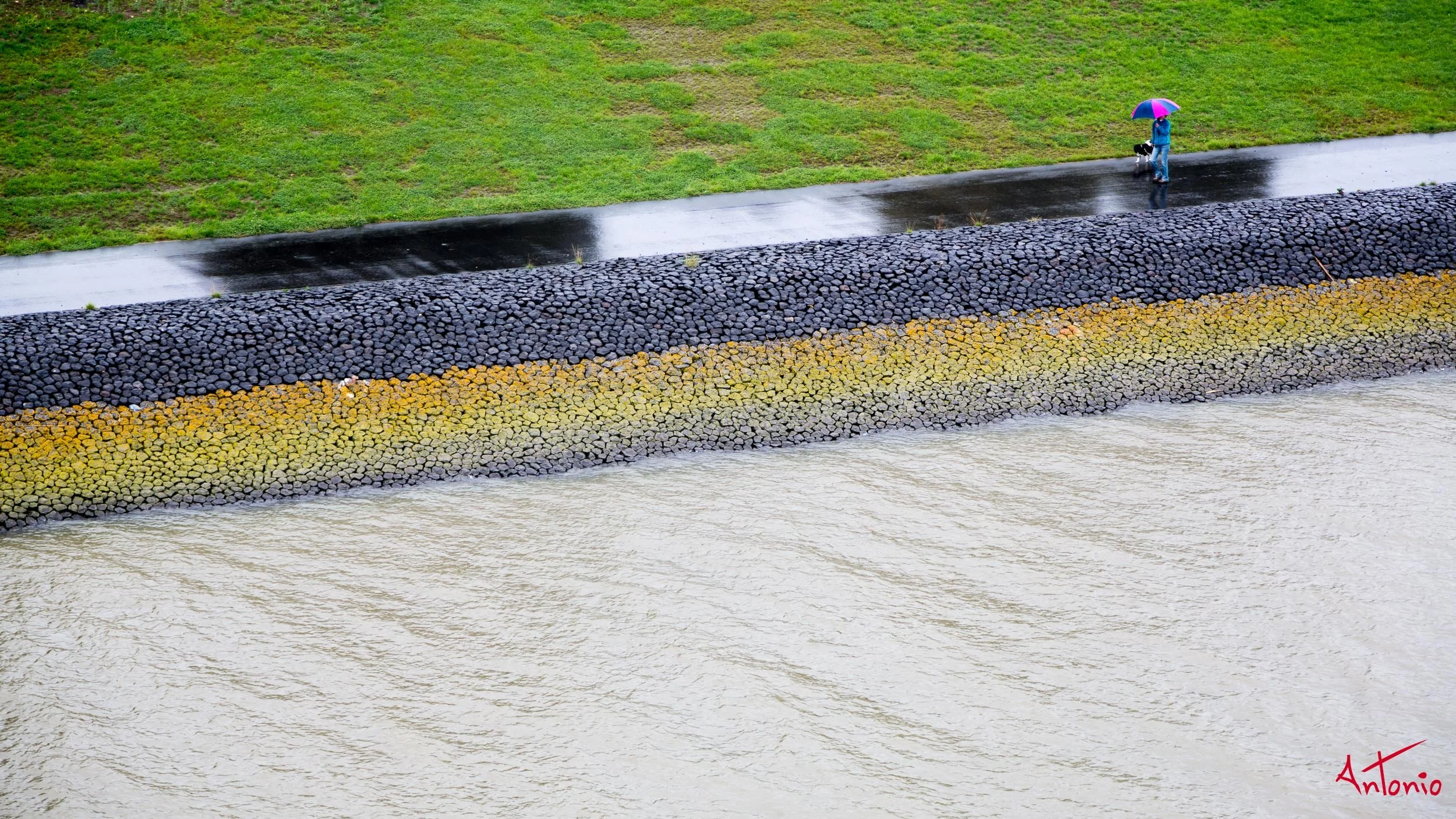 20130909_160813 SilverWhisper.jpg