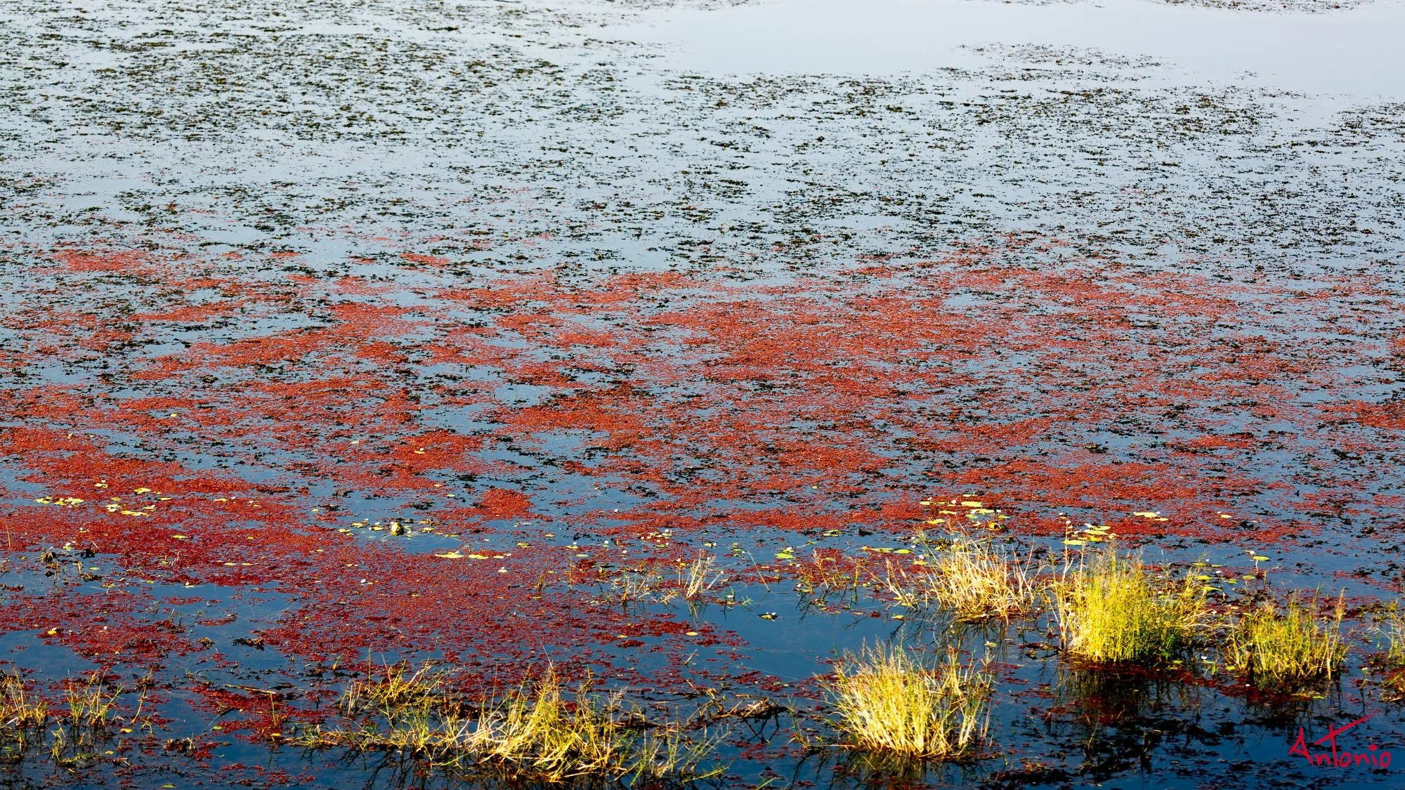 20121128_093135 Ranthambhore.jpg