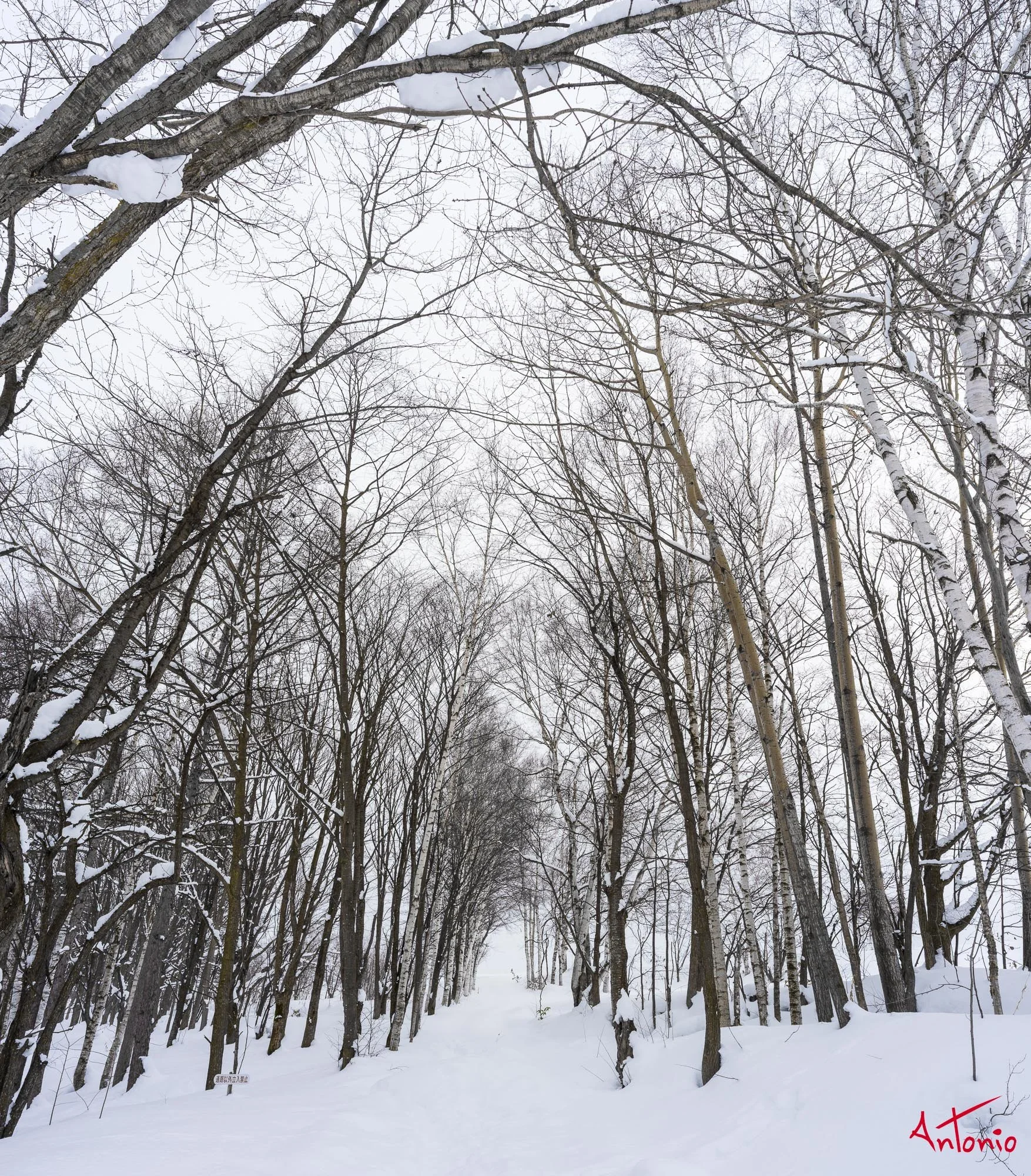 20240109_111216 B0003124 Hokaido.jpg