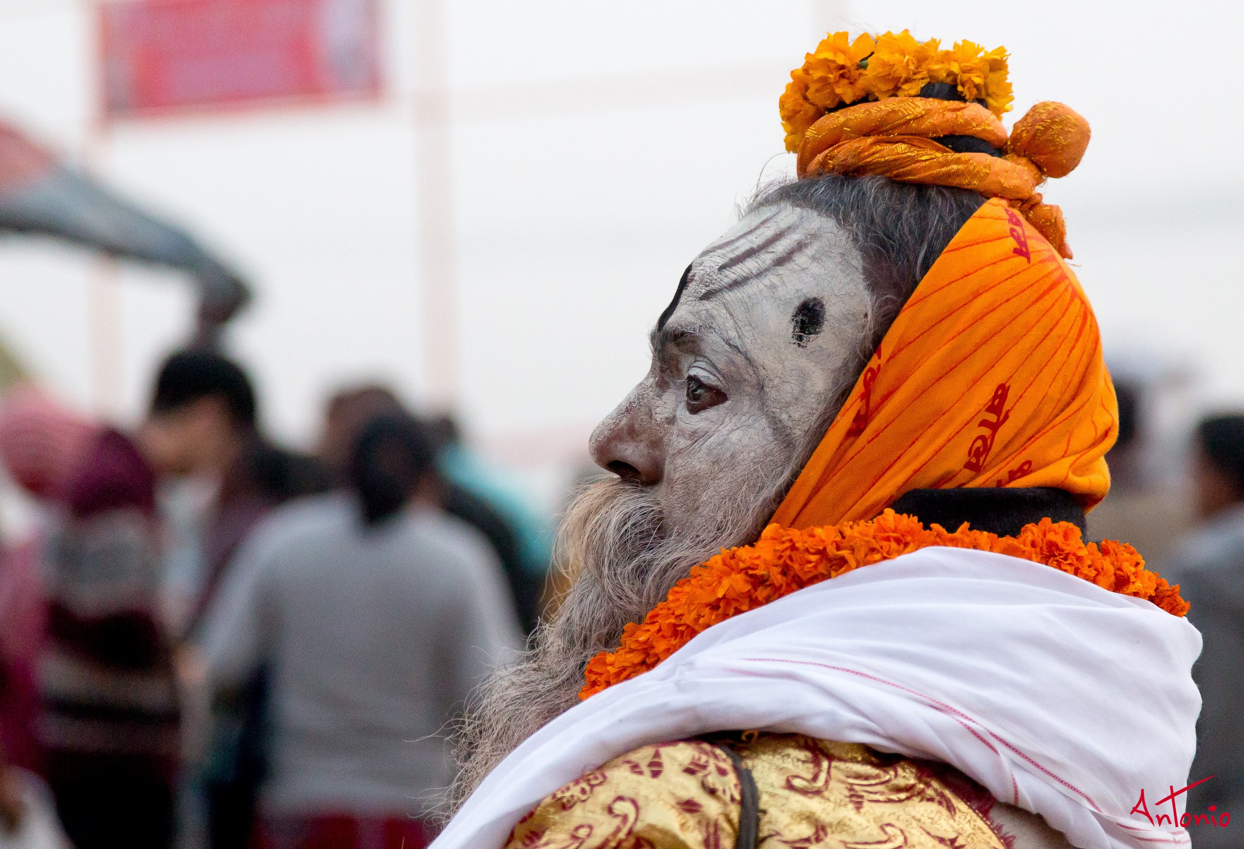 20121118_060627 Varanasi.jpg
