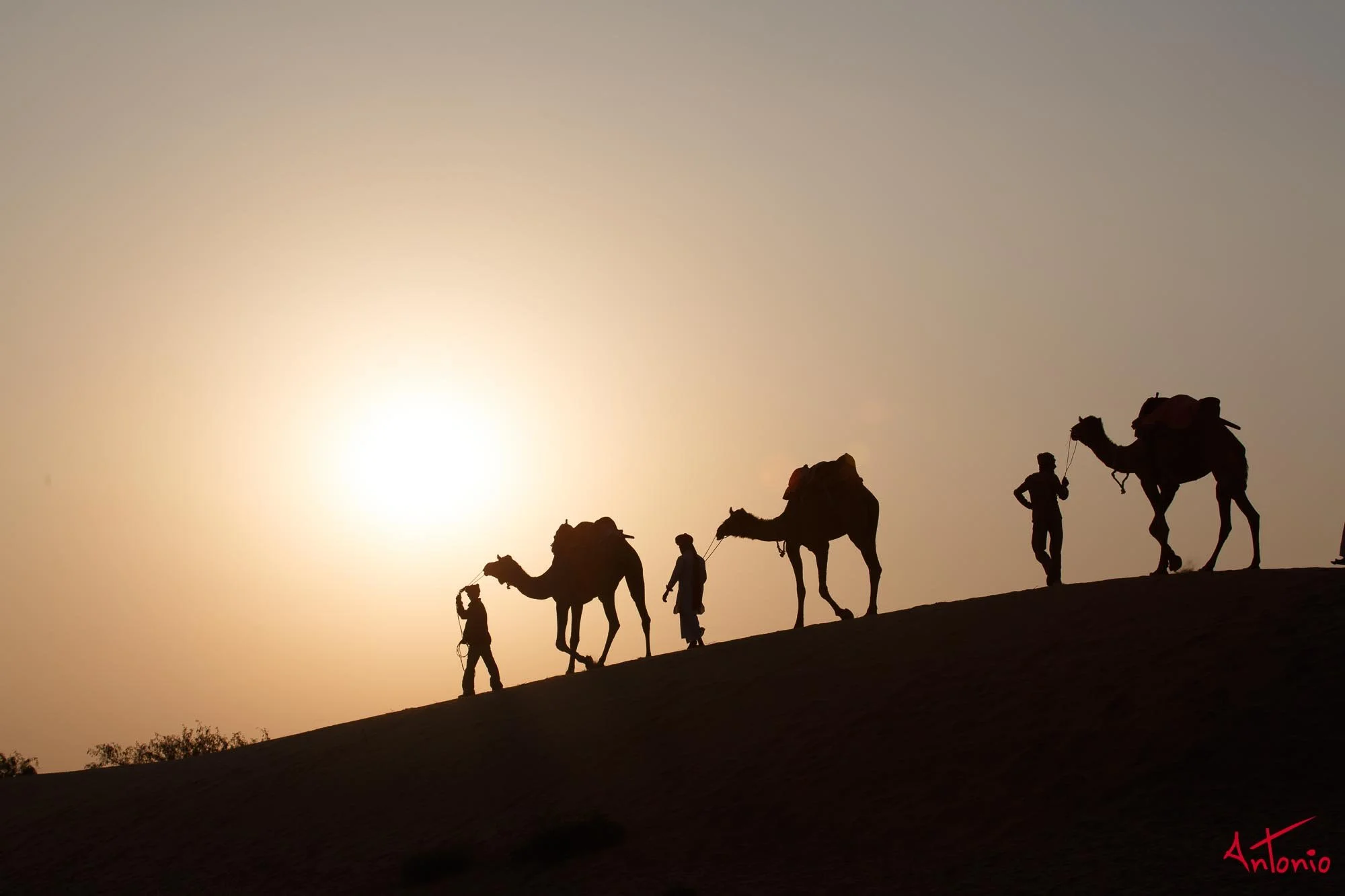 20121122_170623 India_Jamba.jpg