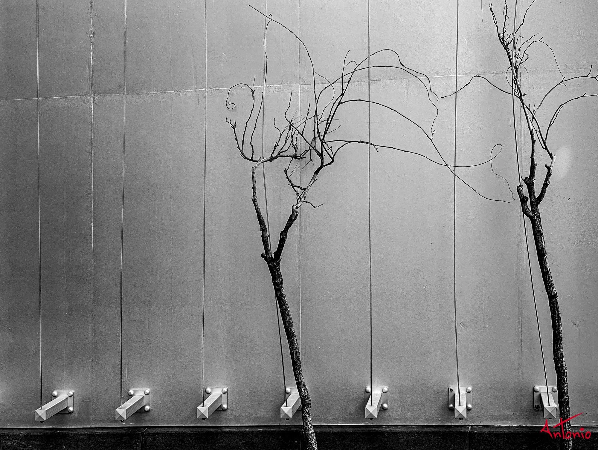 20210302_130622 Houston.jpg