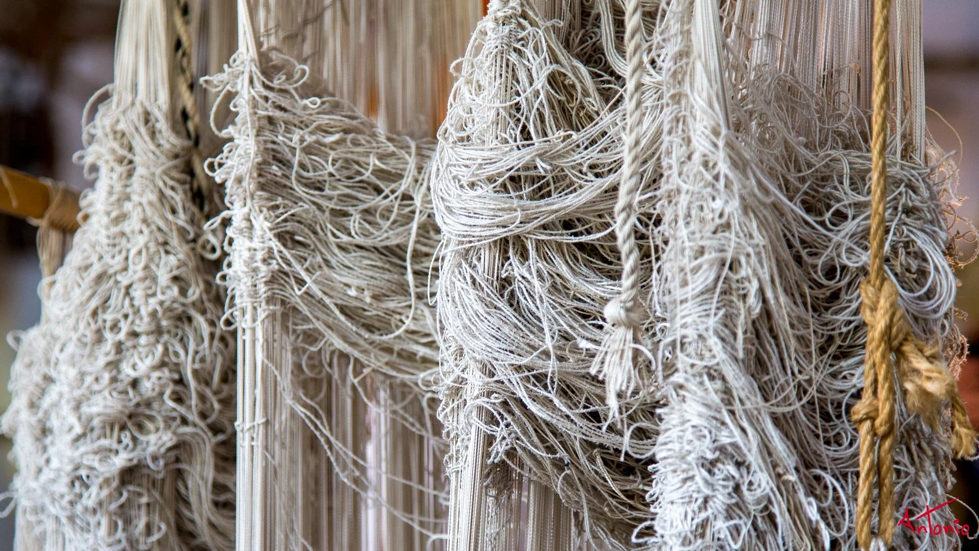 20121118_140540 Varanasi.jpg