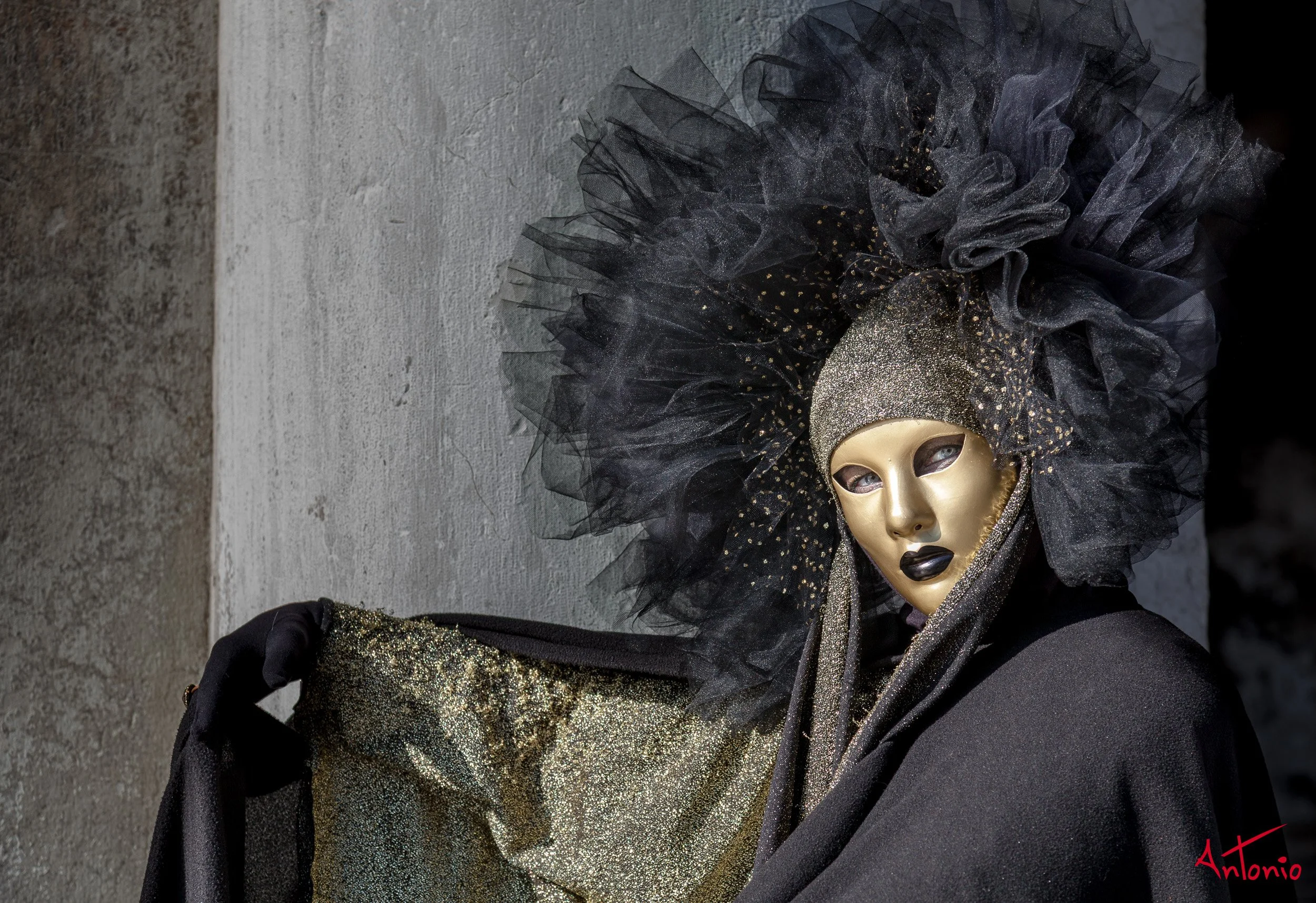 20120217_103504 Carnaval de venecia.jpg