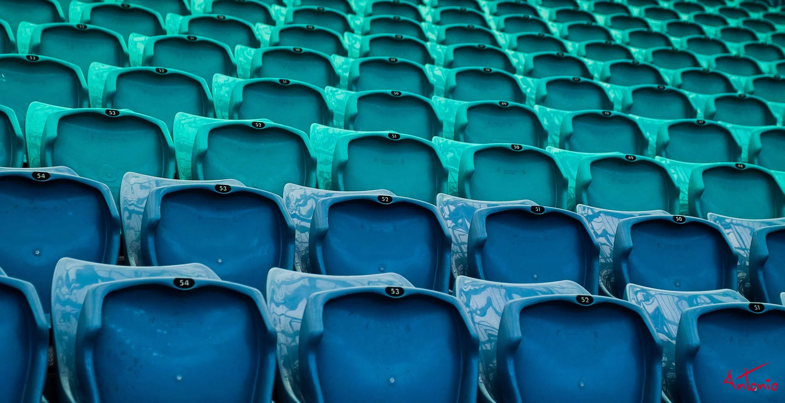 20031205_124751 Sydney.jpg