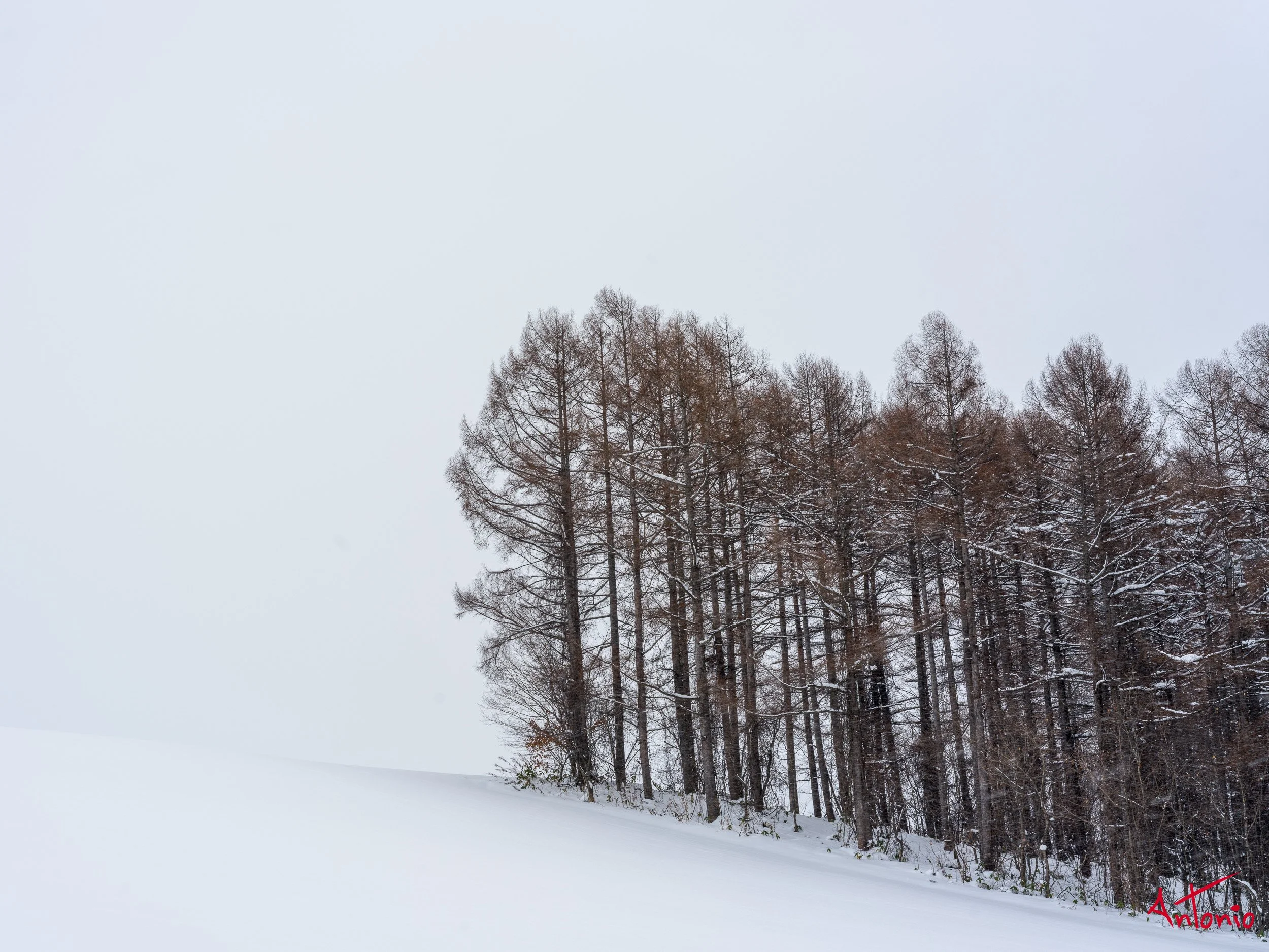 20240108_203450 B0003155 Hokaido, Japan.jpg