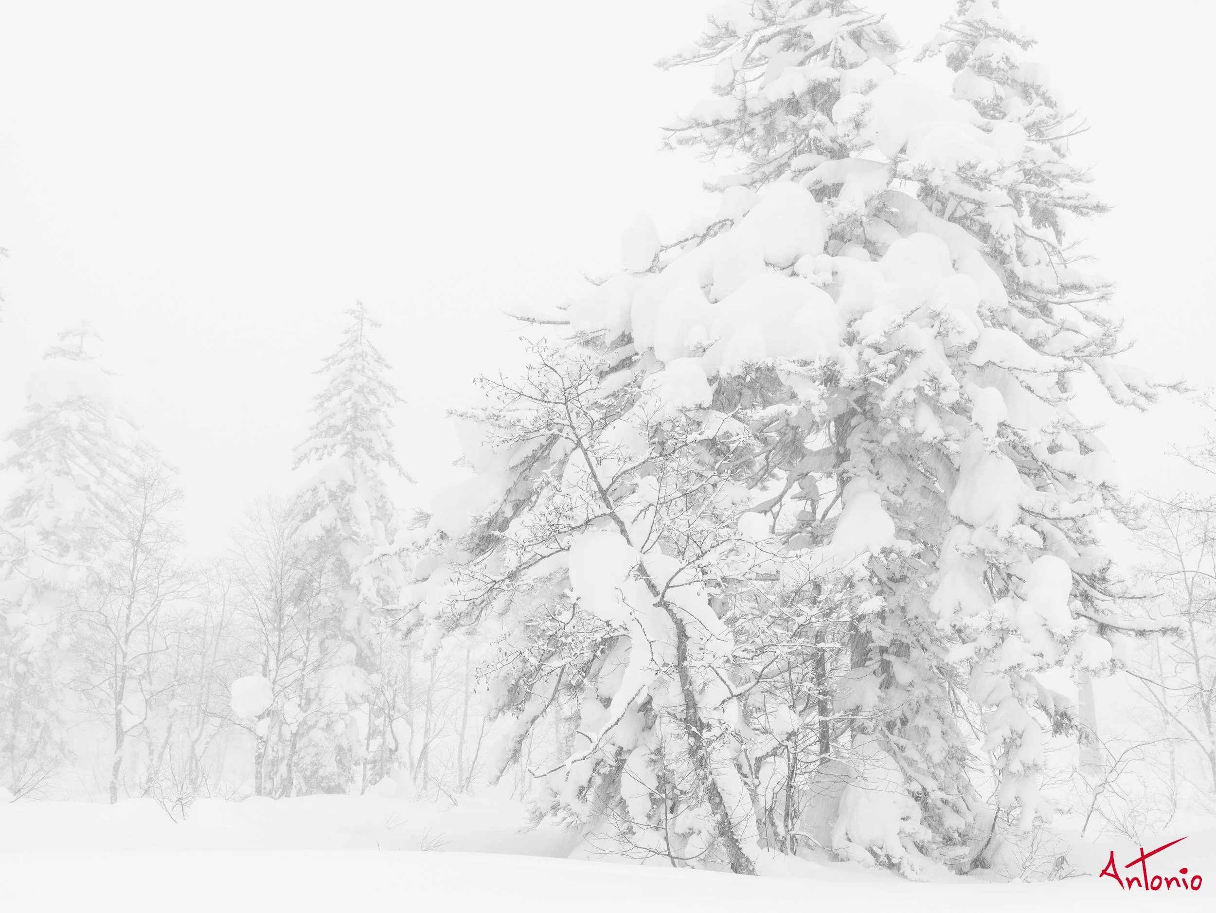 20240109_212154 B0003351 Hokaido, Japan.jpg