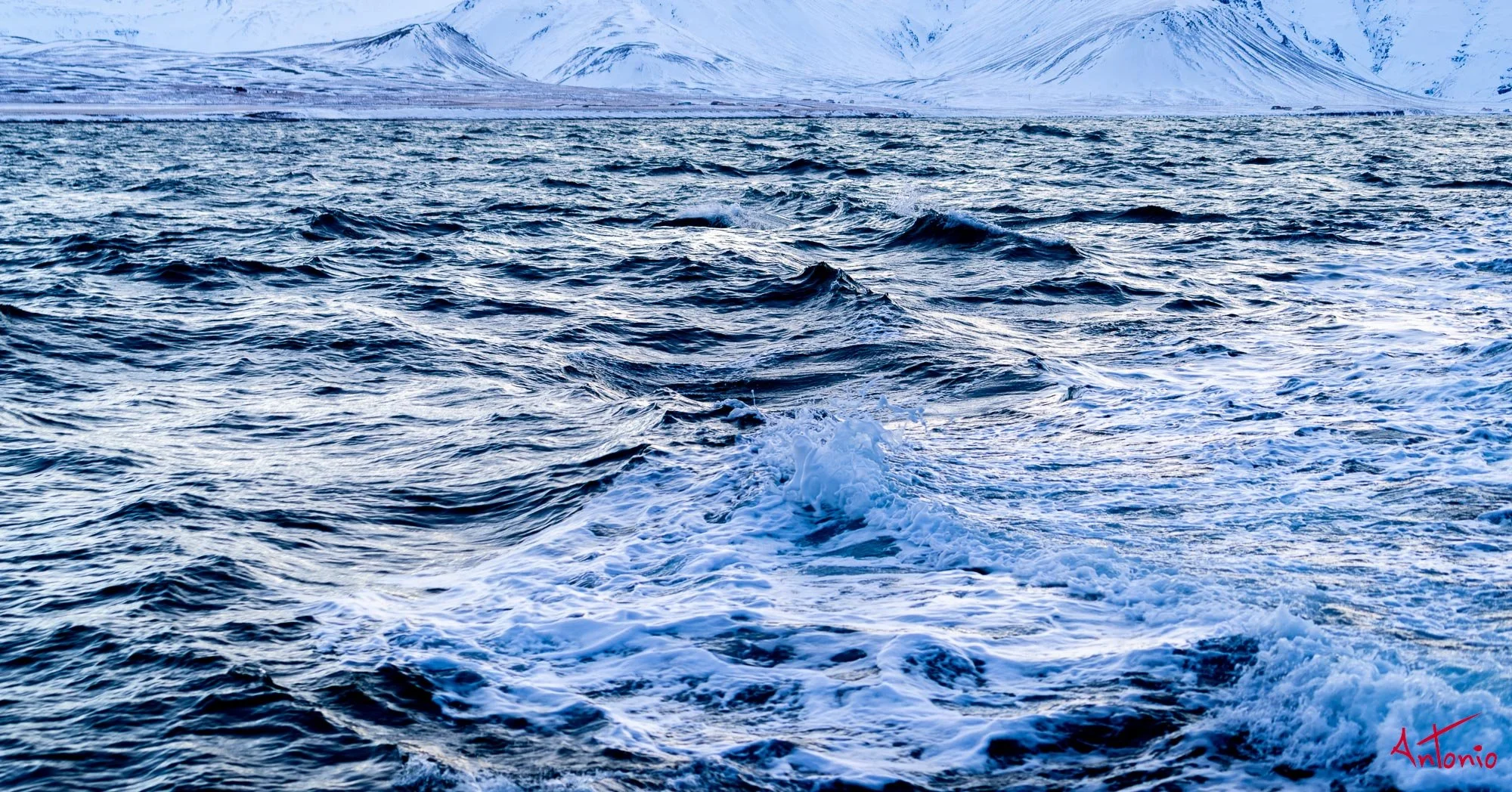 20150116_123700 Islandia.jpg