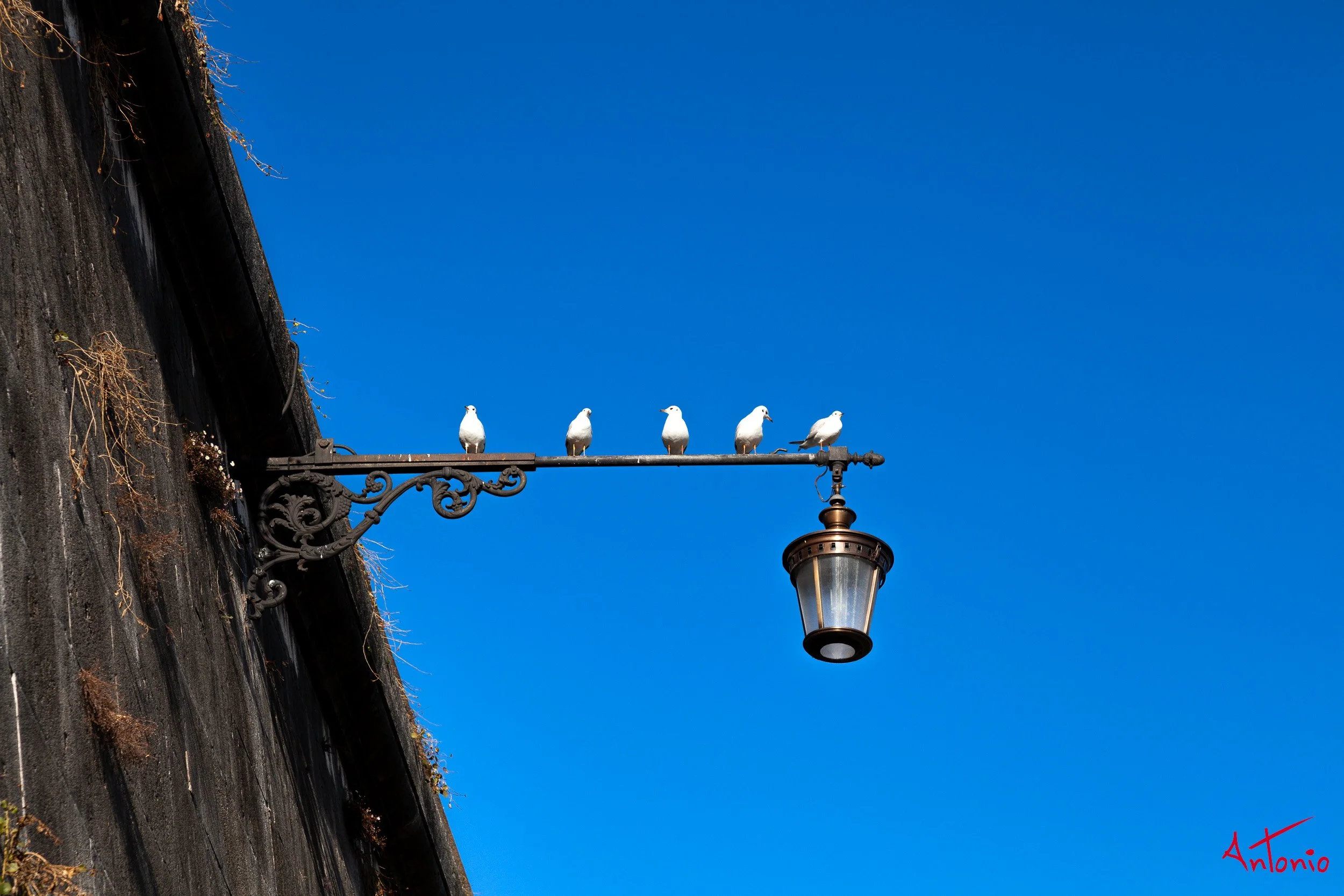 20120215_154048 Roma.jpg