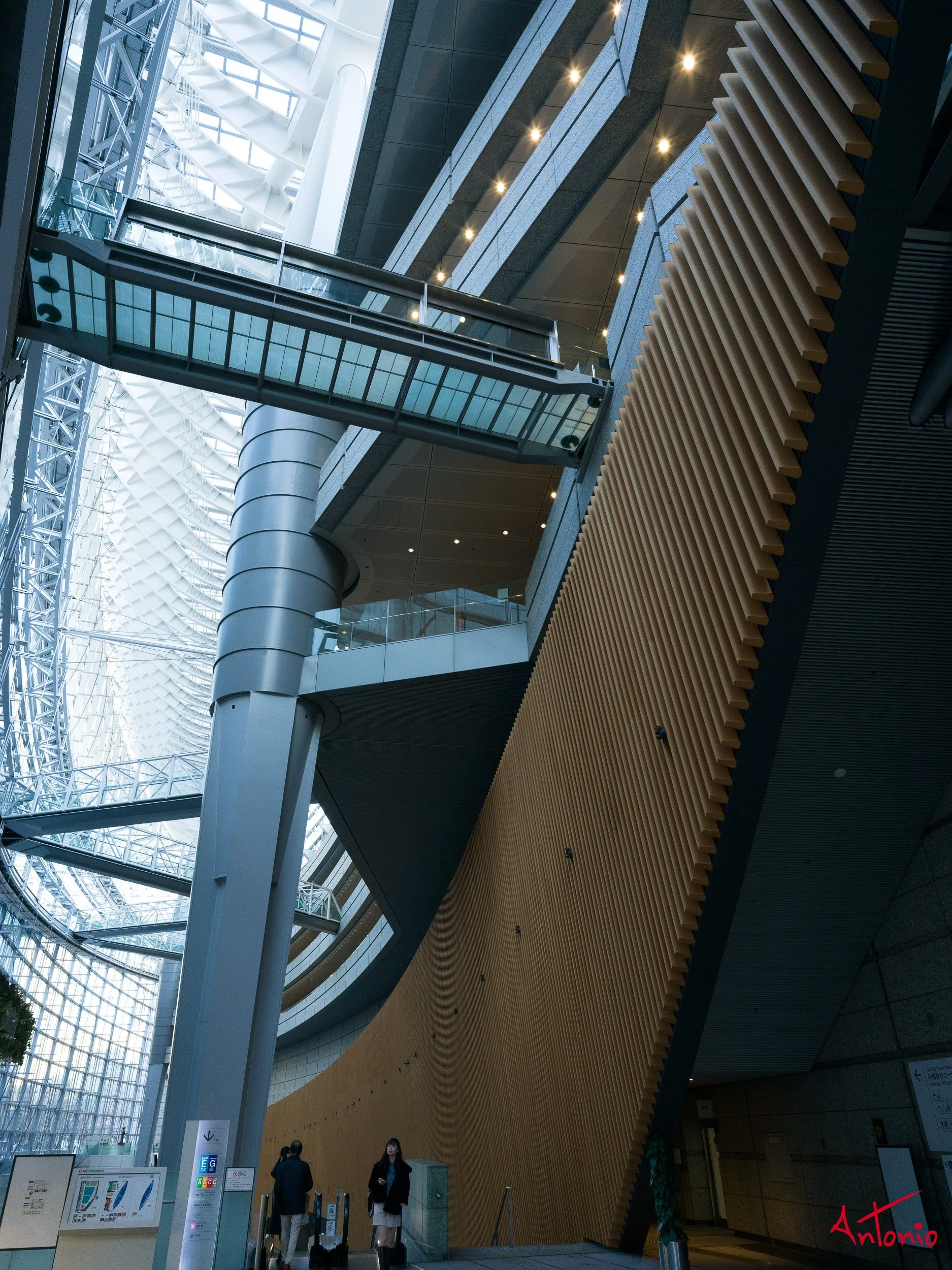 20240123_145349 B0002318 Tokyo.jpg