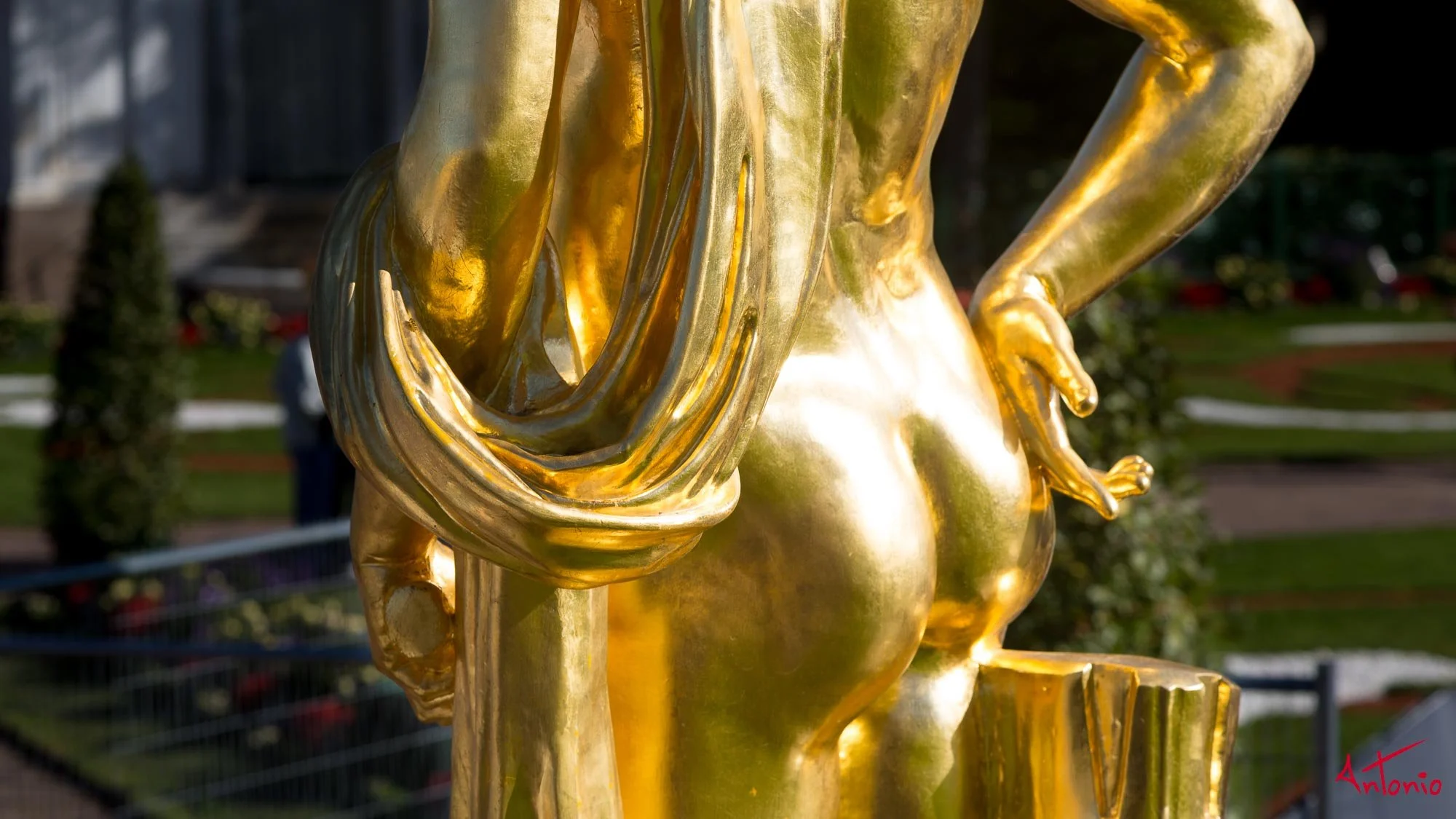 20130904_101045 San Petesburgo.jpg