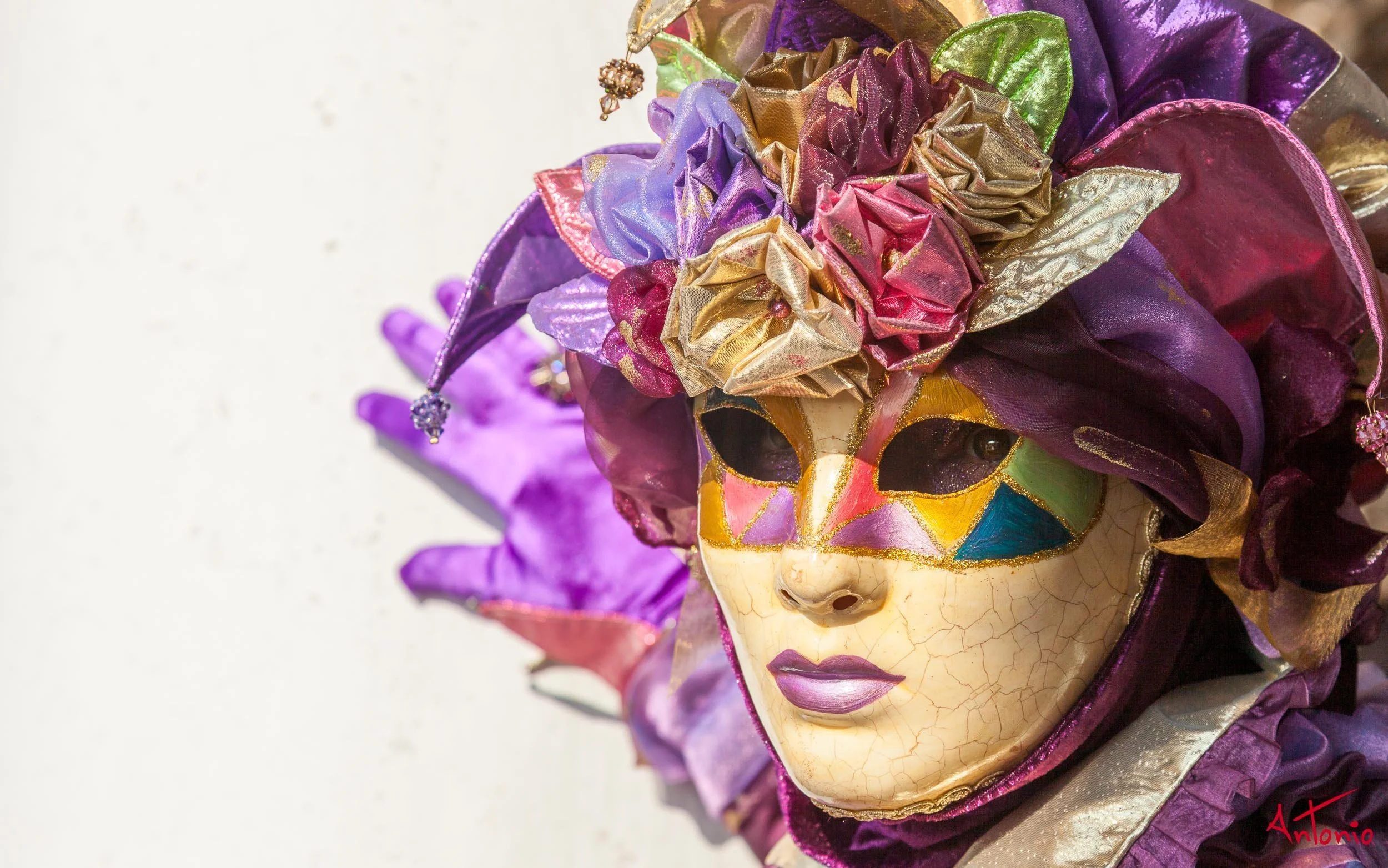 20120218_122702 Carnaval de venecia.jpg