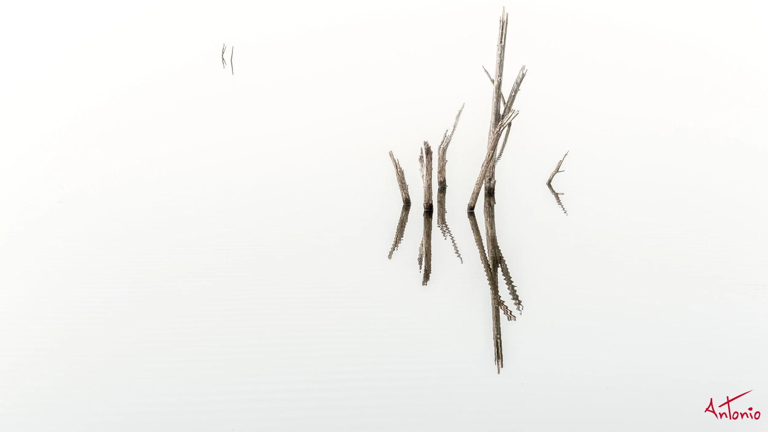 20121128_073441 Ranthambhore.jpg