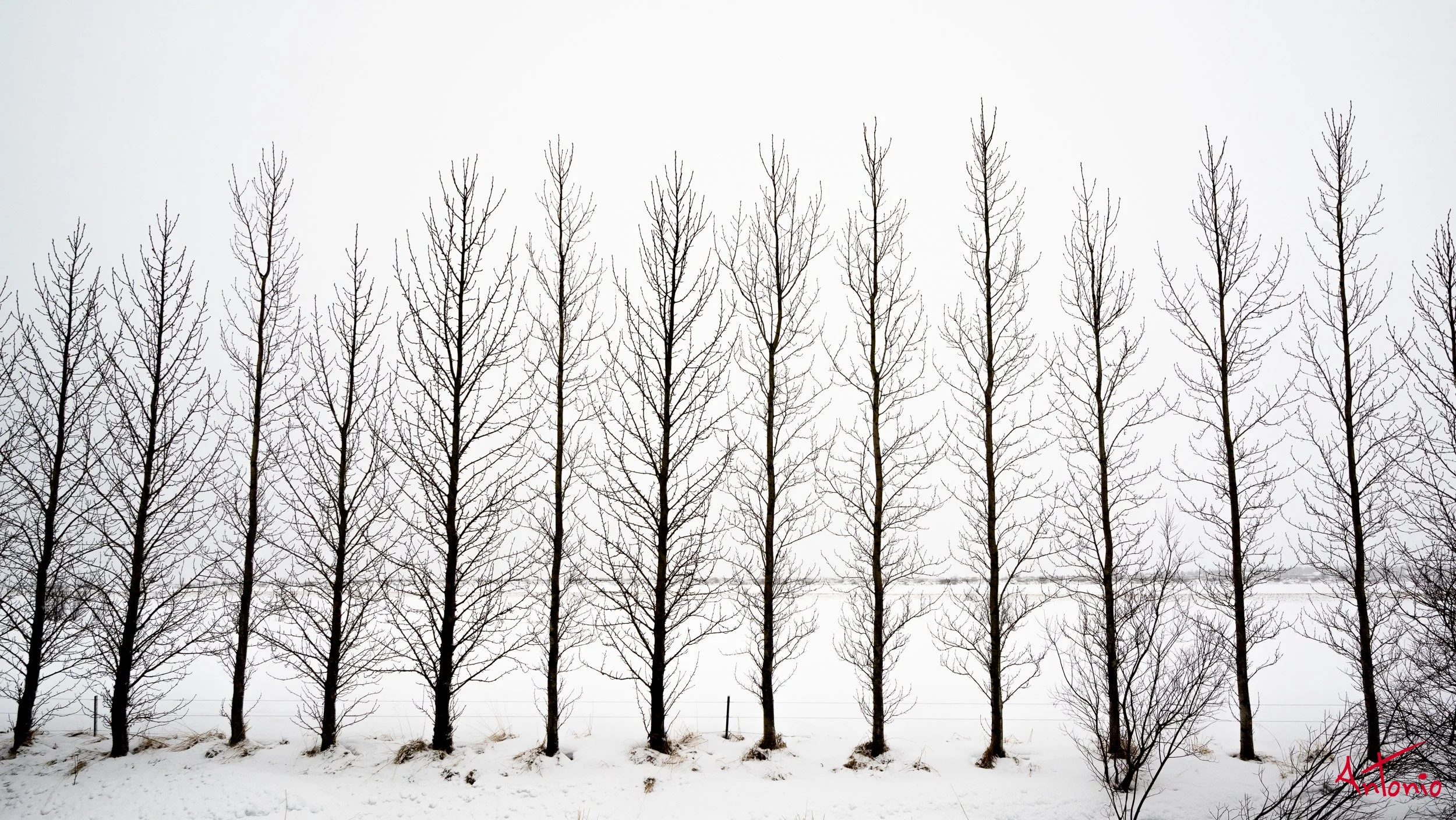 20150123_122646 Islandia.jpg