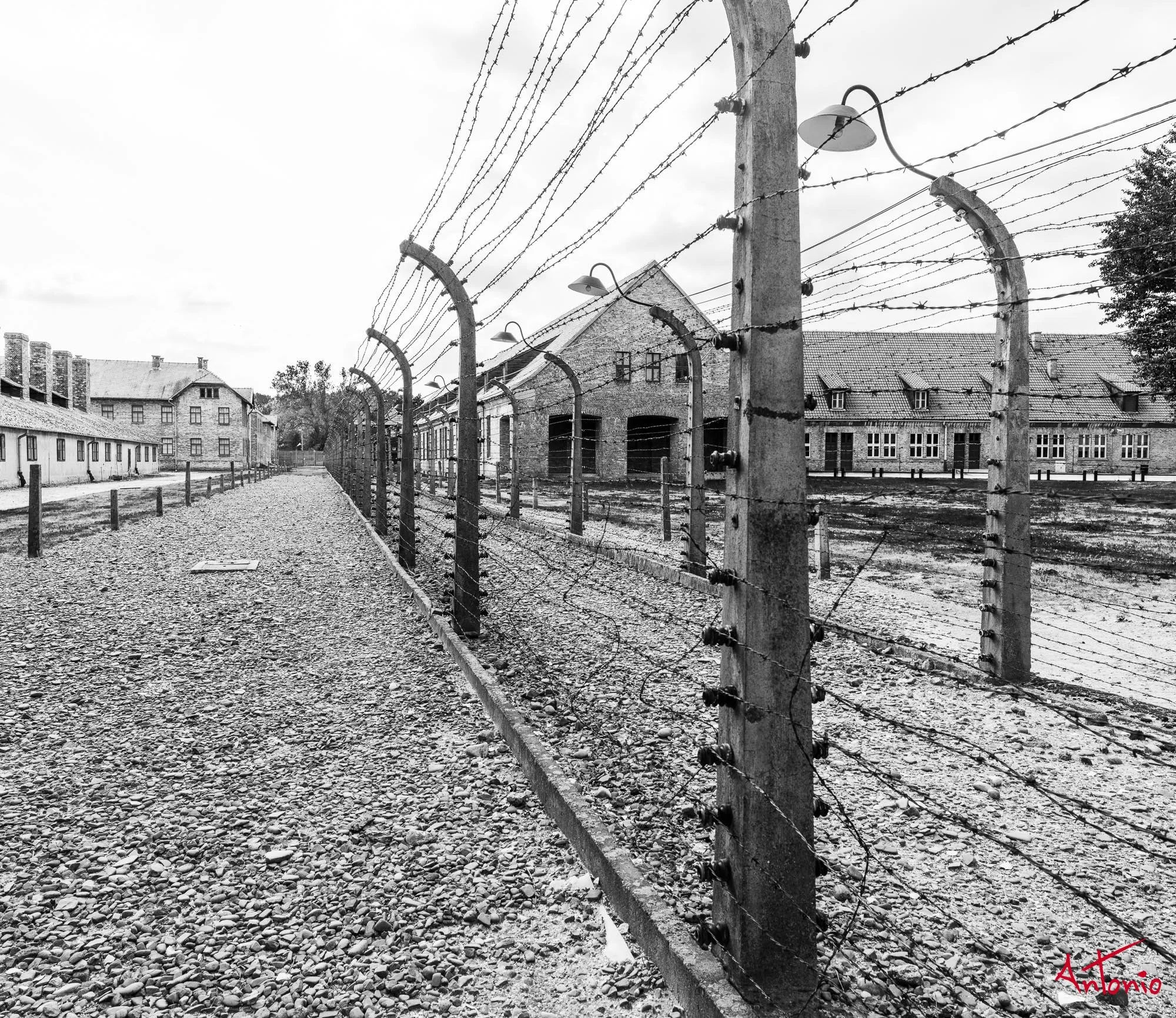 20240820_134918 B0006160 Auschwitz-Brinkenau, Polonia.jpg