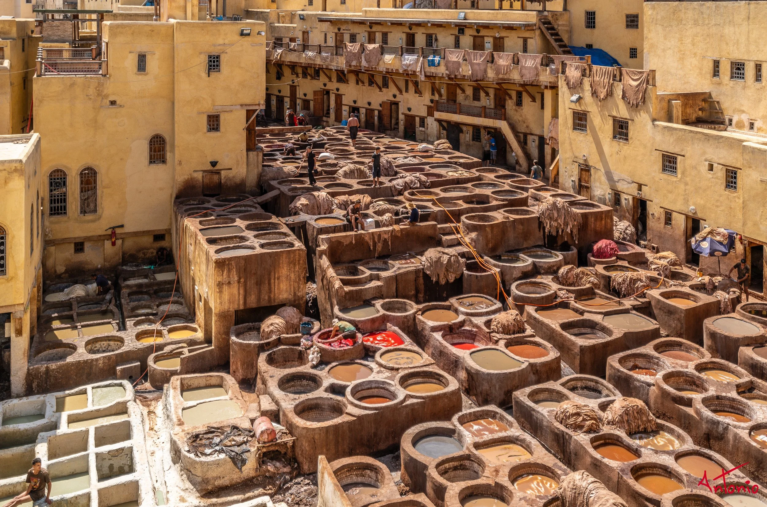 20190917_073350 Fez.jpg