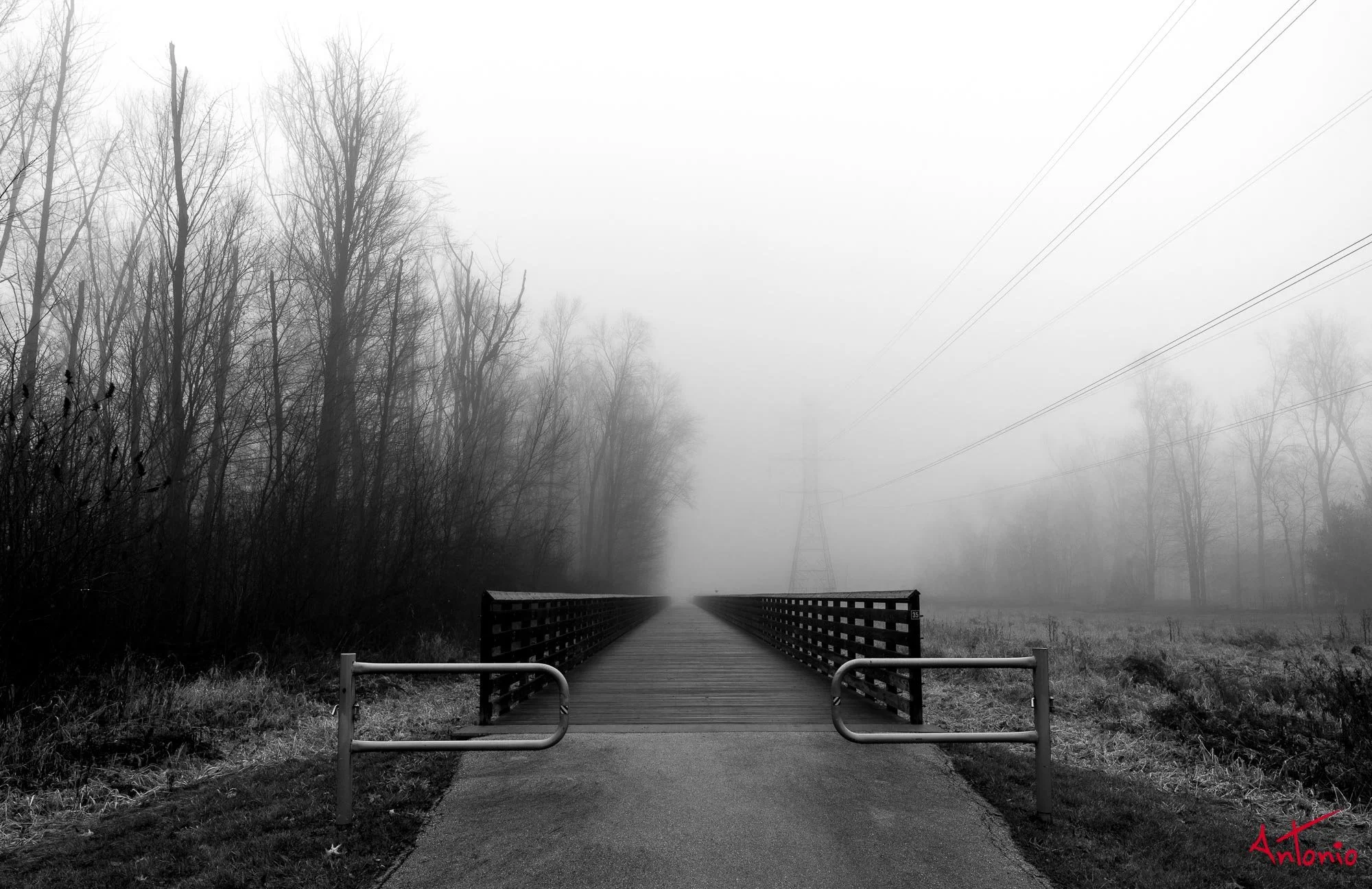 20231224_120400 B0001406 Michigan, USA.jpg