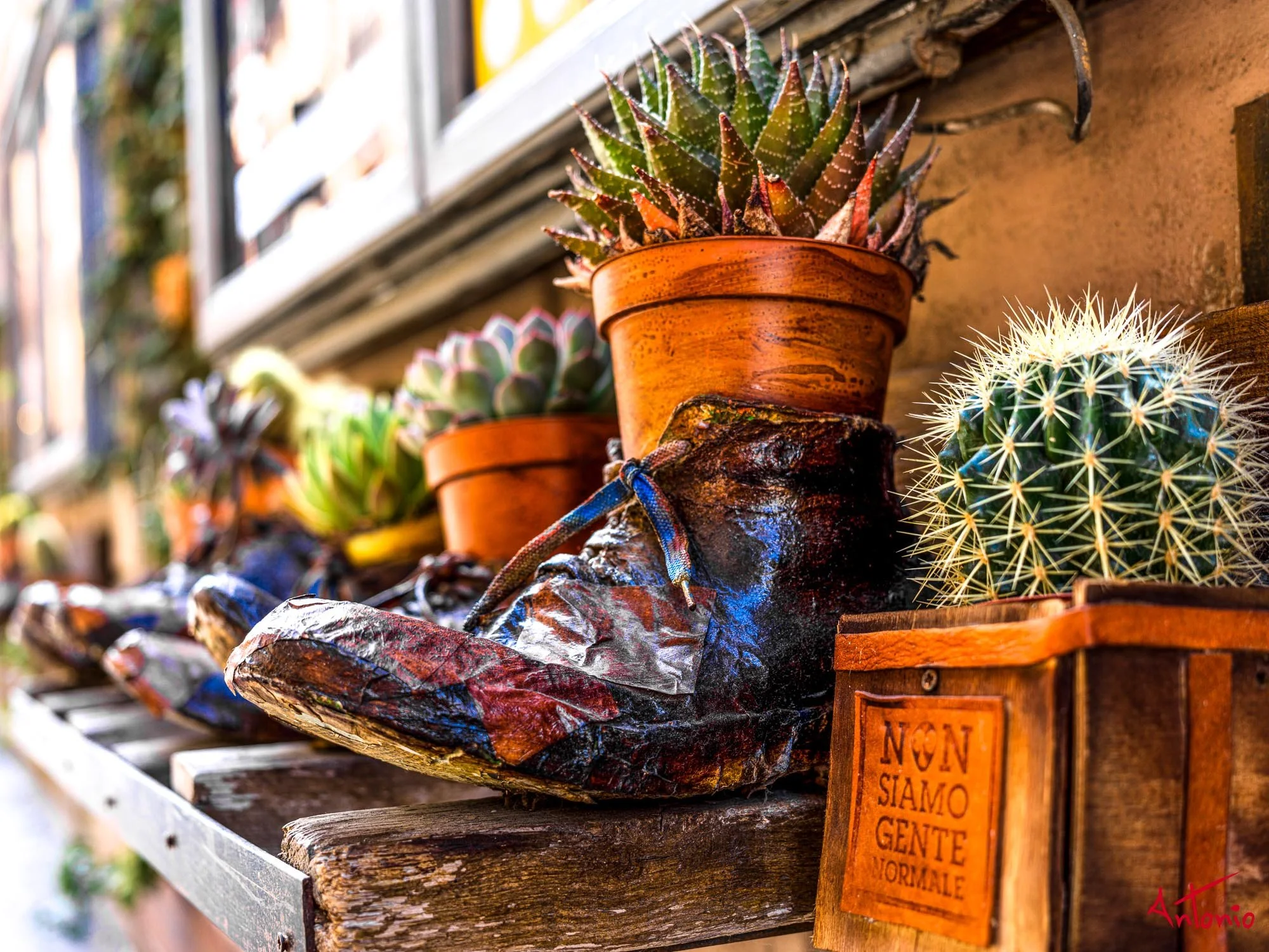 20231003_134845 B0000537 Toscana-2.jpg