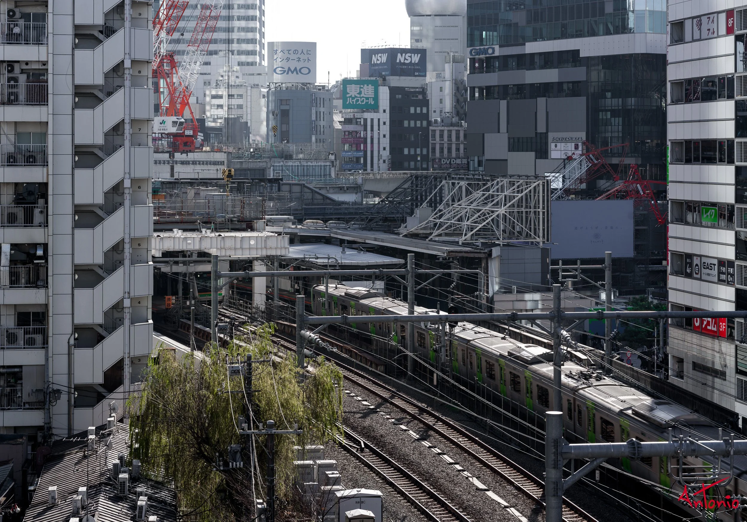 20240123_164552 B0002576 Tokyo.jpg