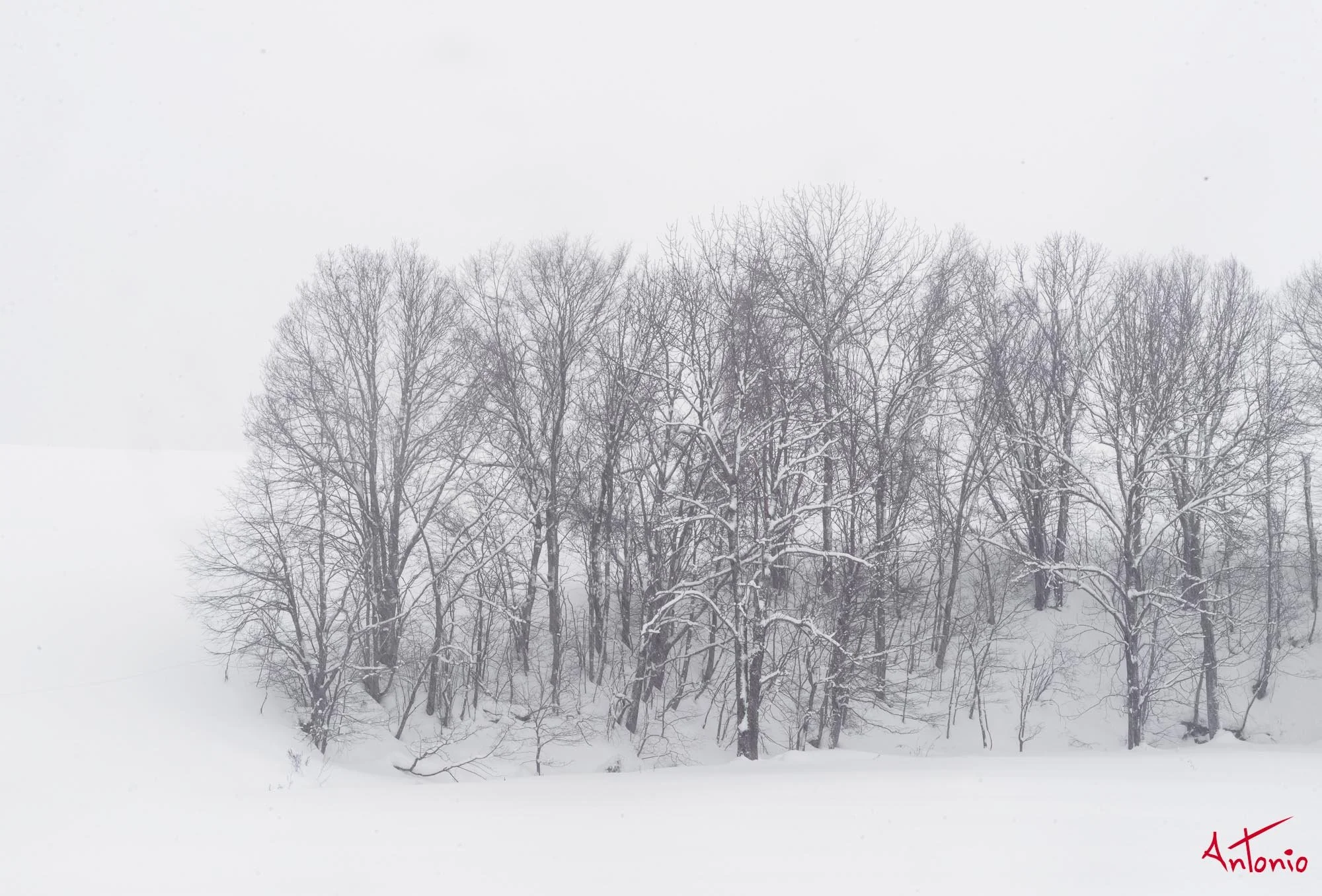 20240116_121253 B0004480 Hokaido.jpg