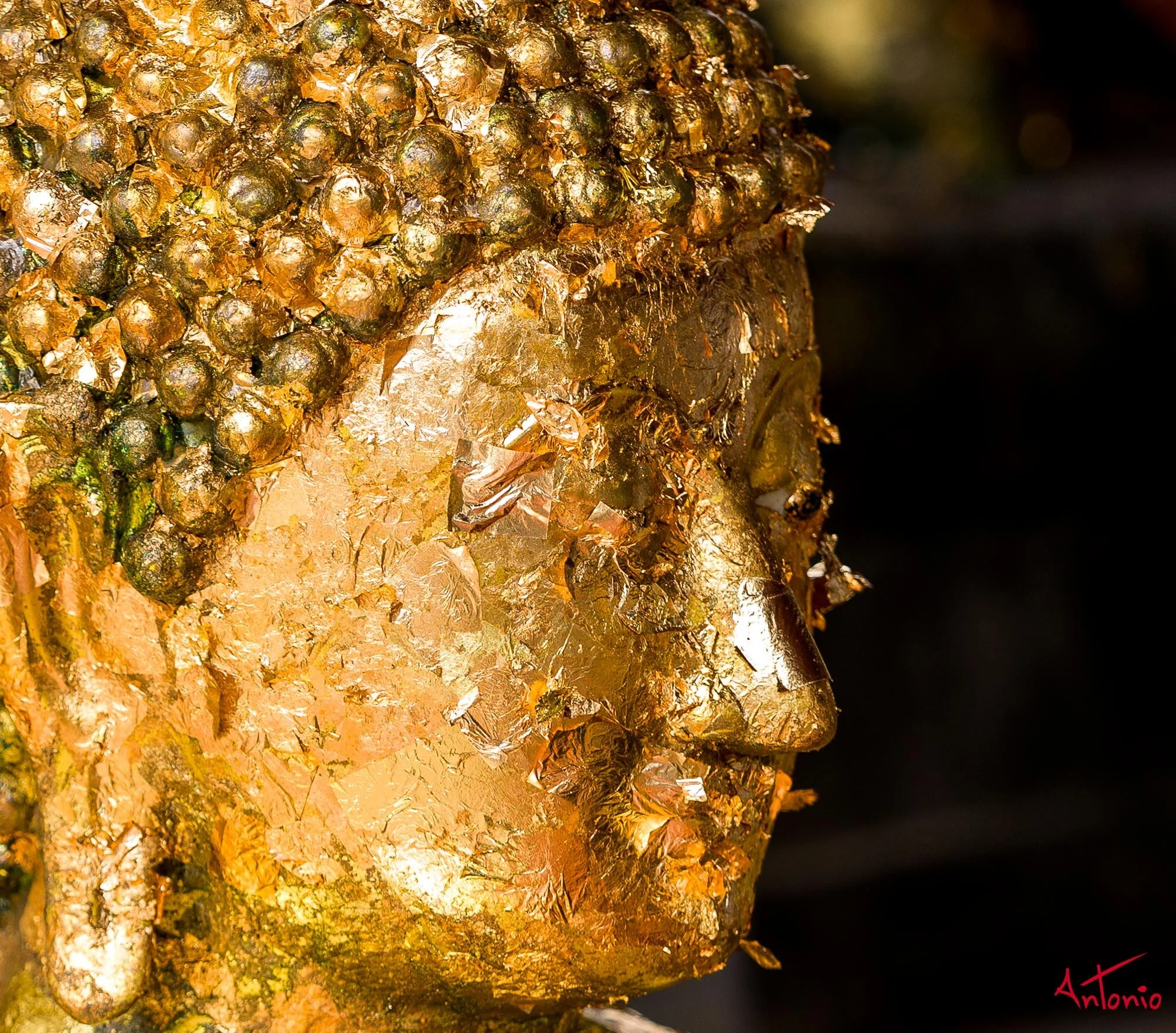 20250719_100648 Bangkok, Thailand - B0007779-2.jpg