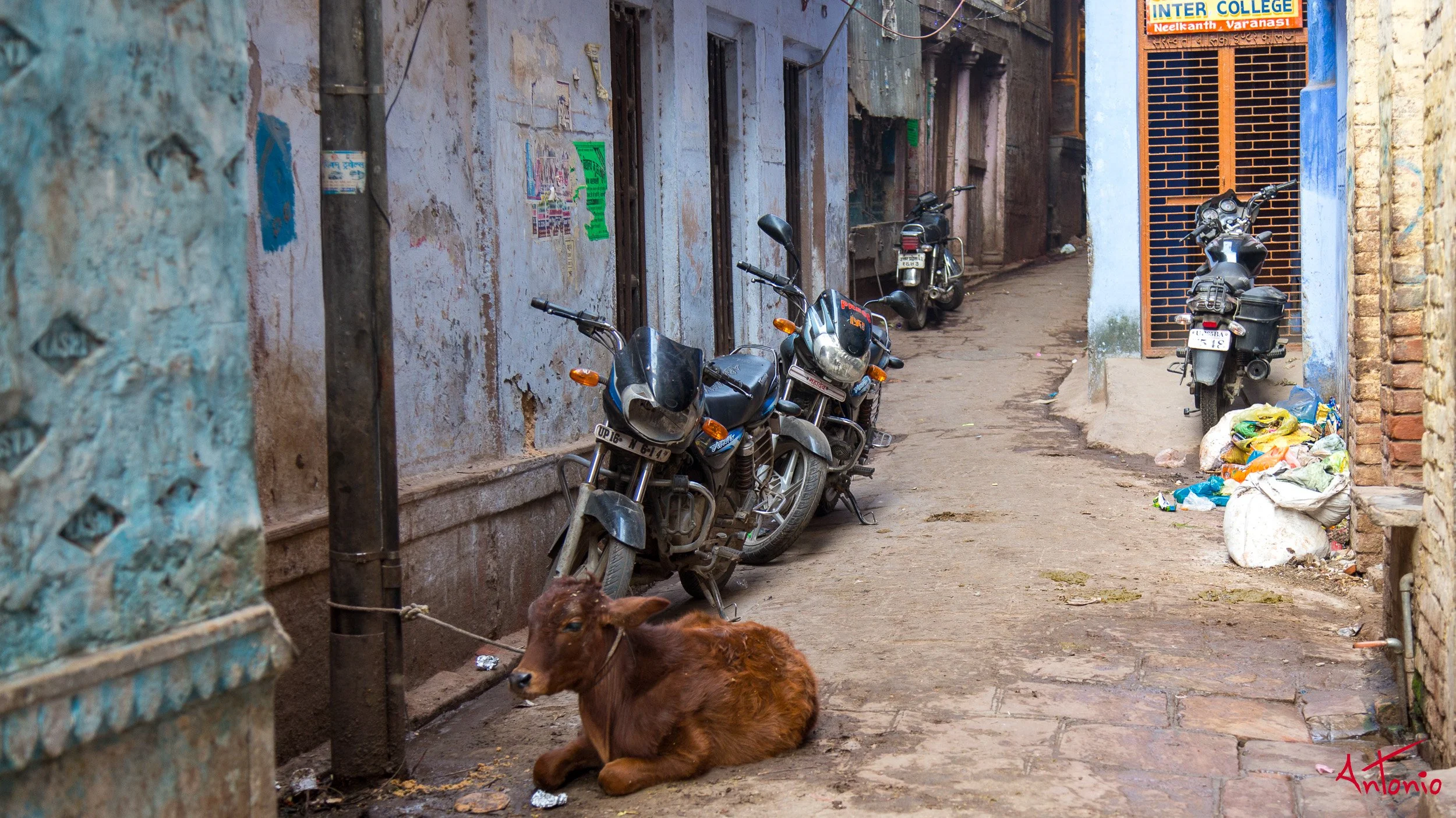 20121118_082032 Varanasi.jpg