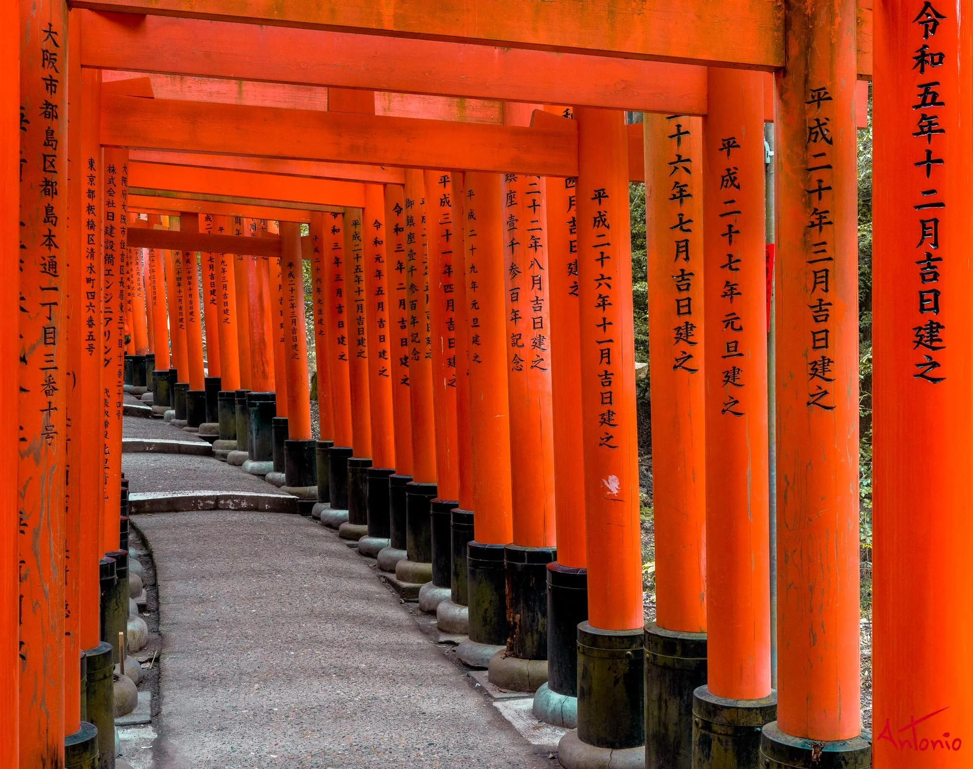 20240103_145108 B0001701 Kyoto.jpg