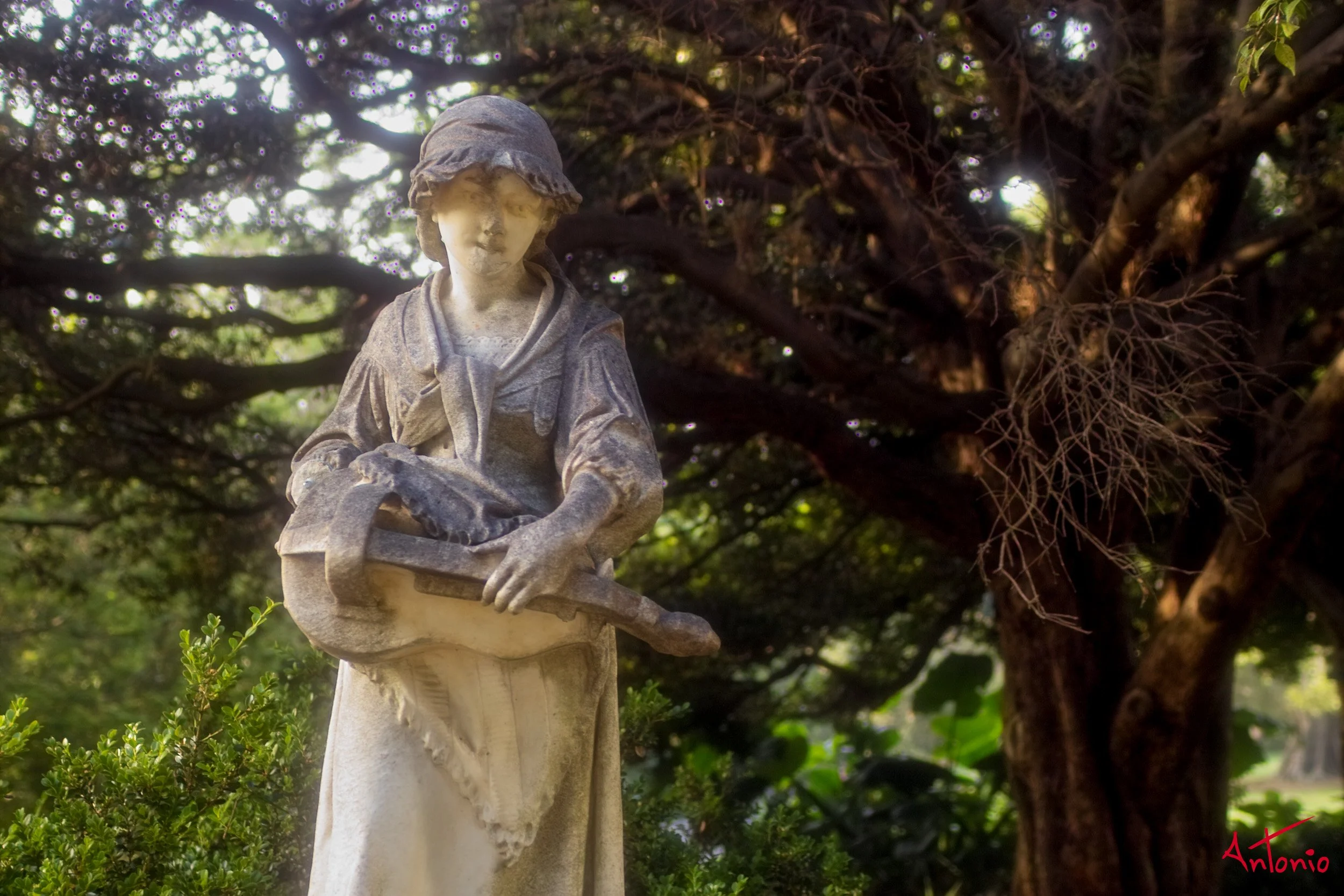 20031120_064817 Sydney.jpg