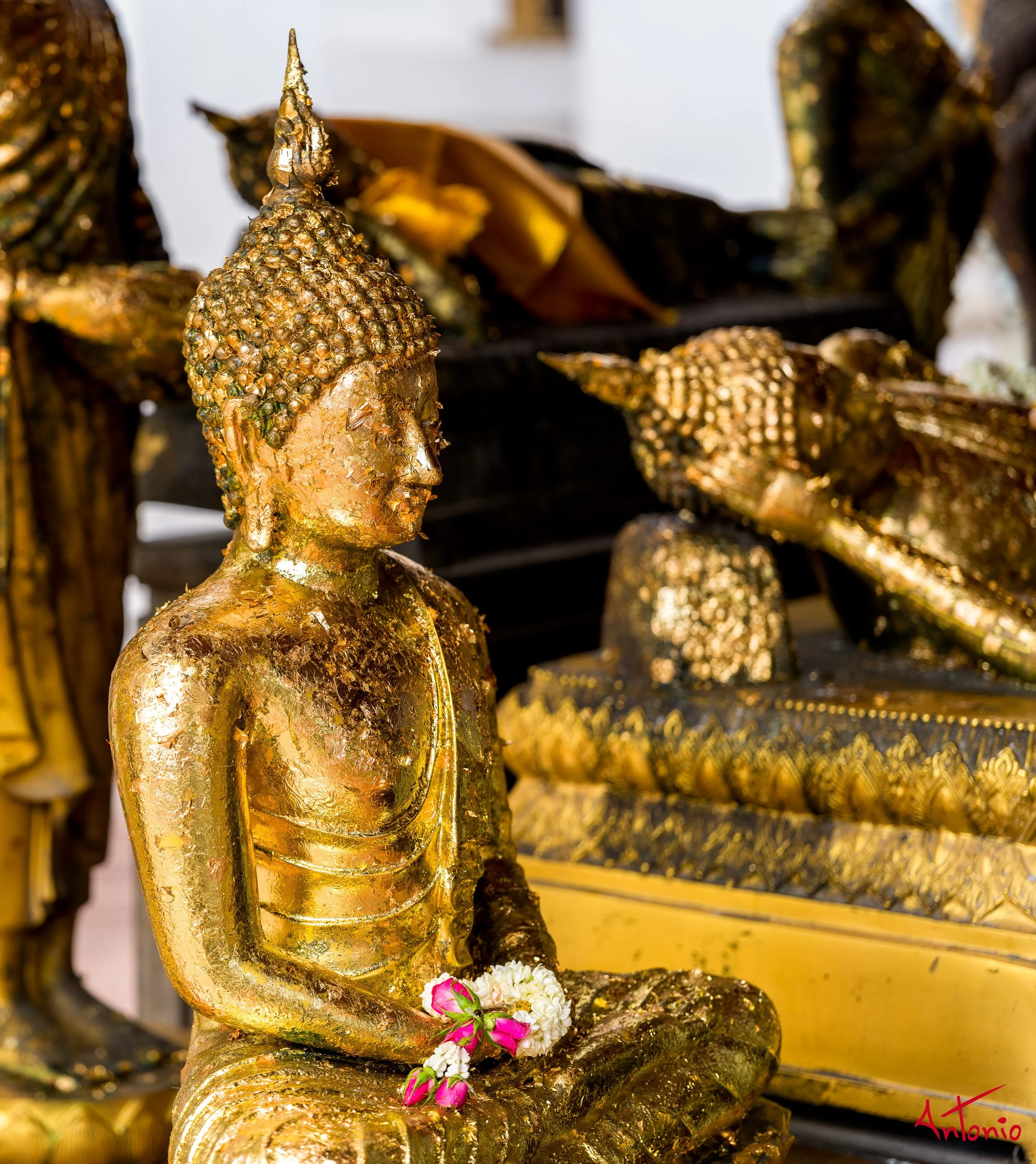 20250719_100648 B0007779  Bangkok, Thailand.jpg