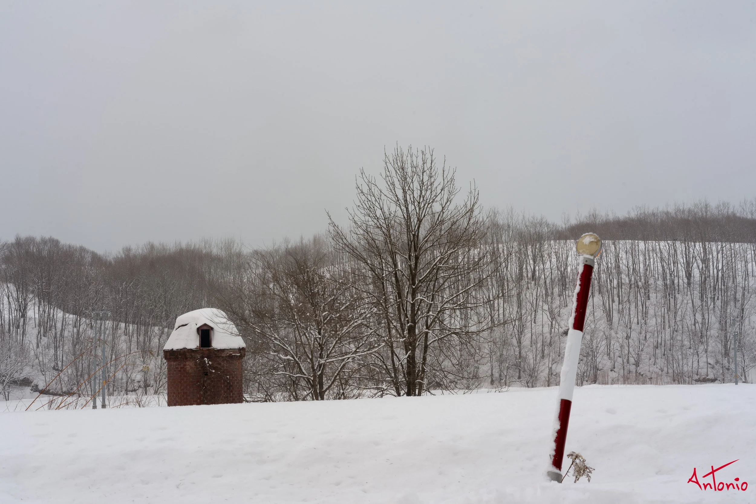20240116_010216 B0004596 Hokaido, Japan.jpg