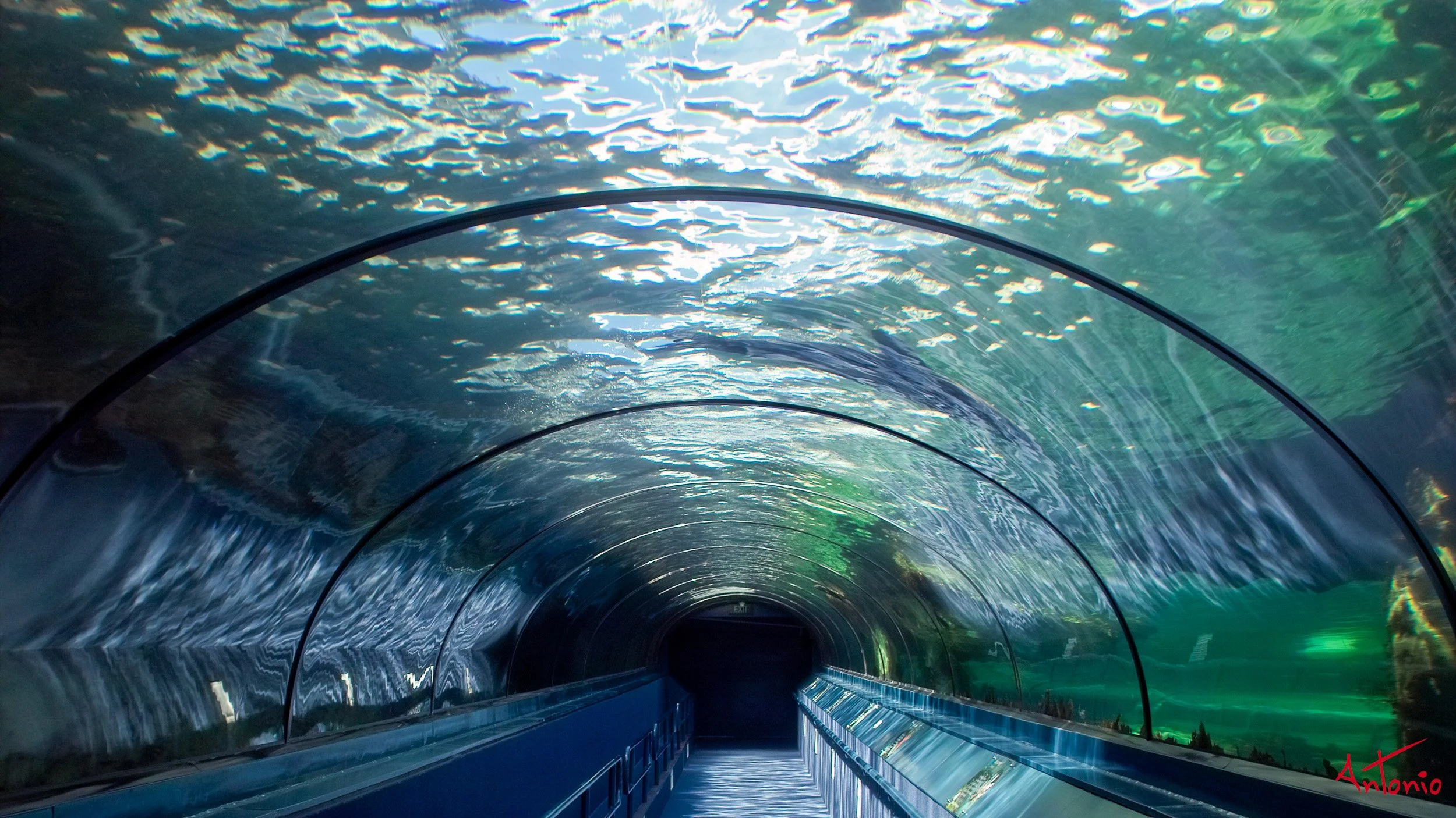 20031120_104451 Sydney.jpg