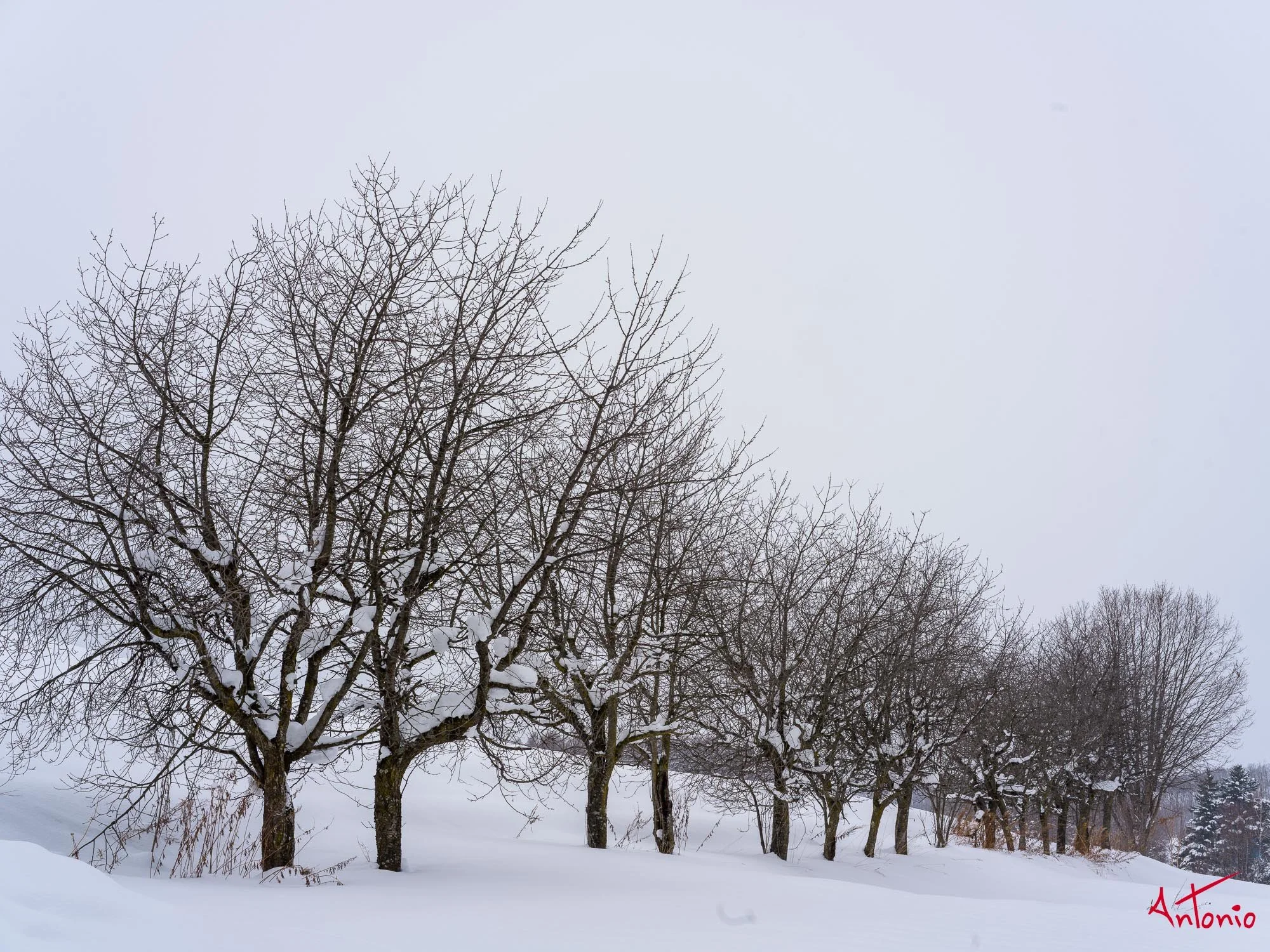 20240109_111607 B0003129 Hokaido.jpg