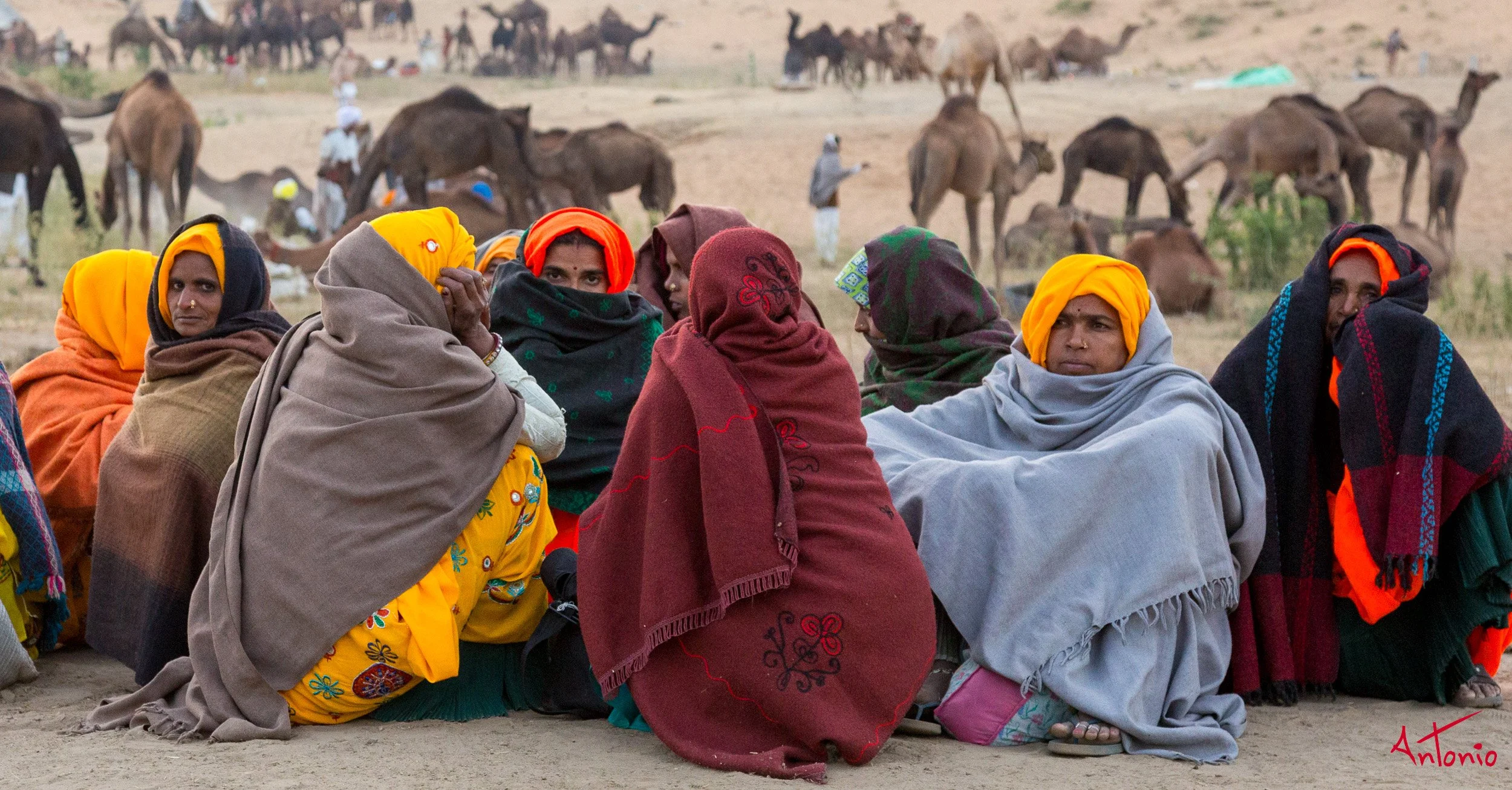 20121124_070410 Pushkar.jpg