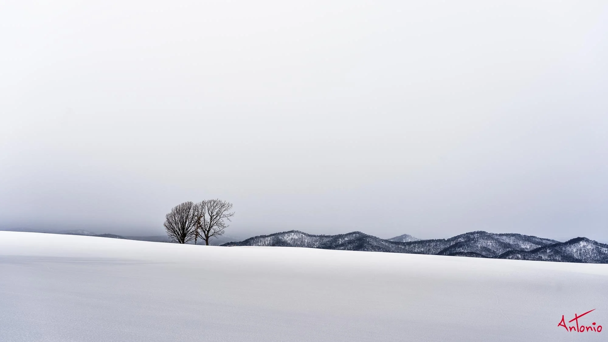 20240109_093354 B0003079 Hokaido.jpg