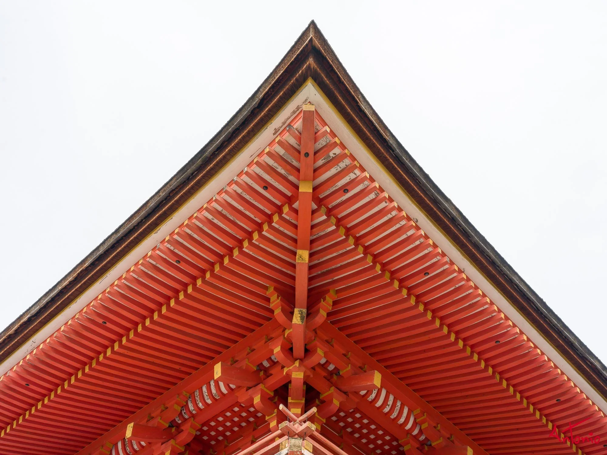 20240103_100816 B0001457 Kyoto.jpg