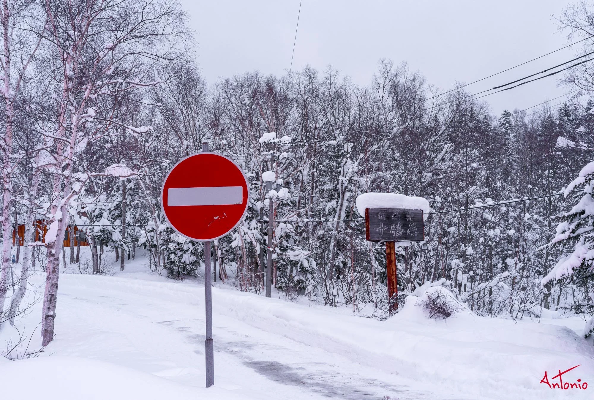 20240108_162516 B0003007 Hokaido.jpg