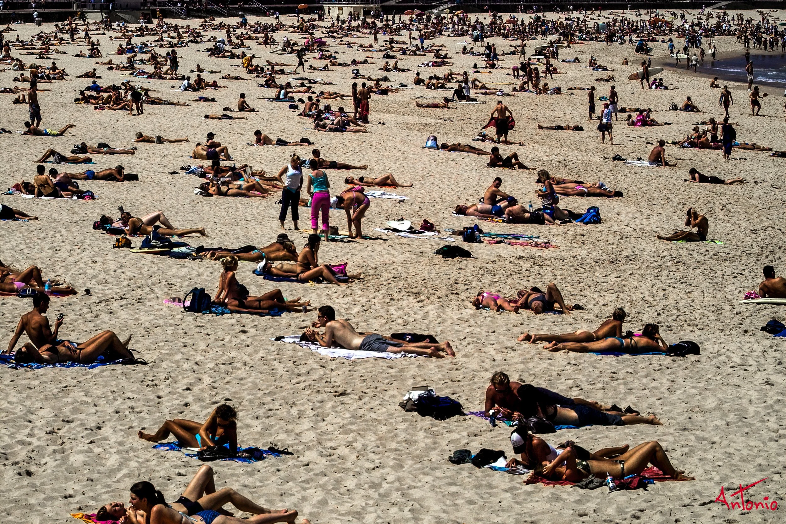 20031119_142132 Sydney.jpg