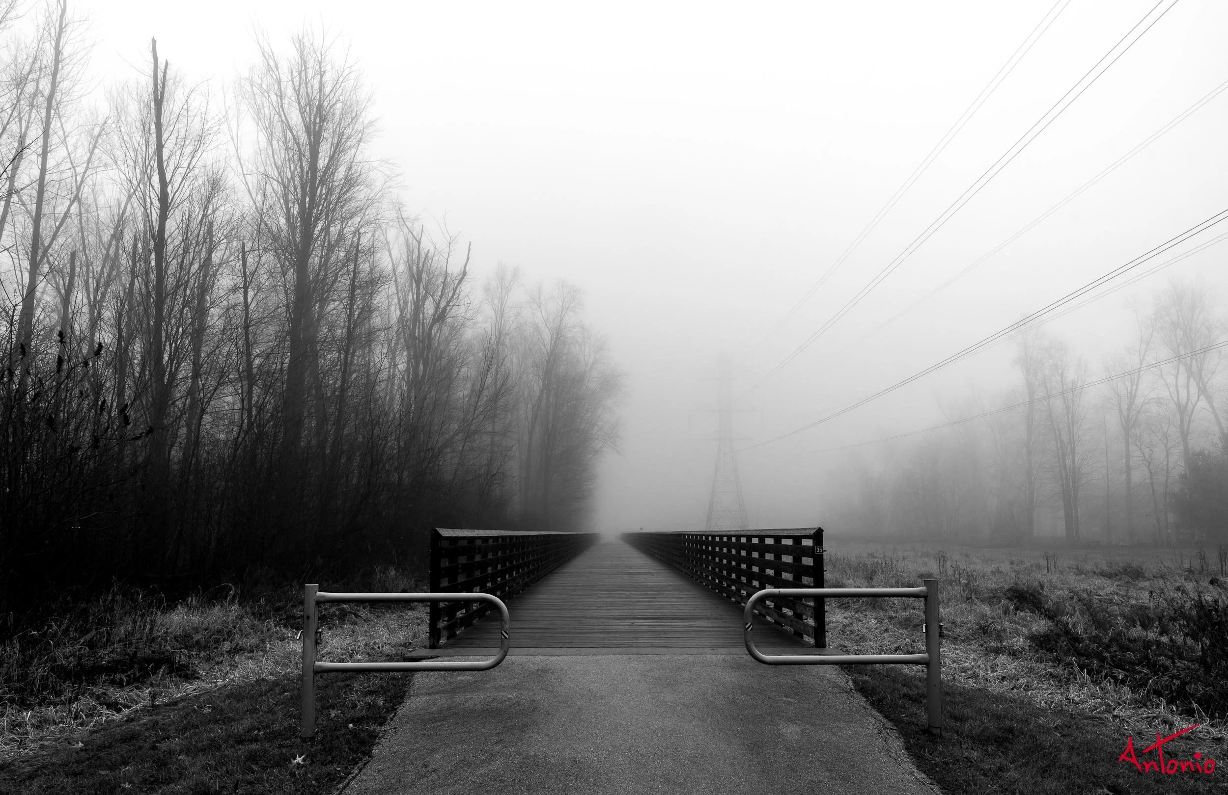 20231224_120400 B0001406 Michigan, USA.jpg