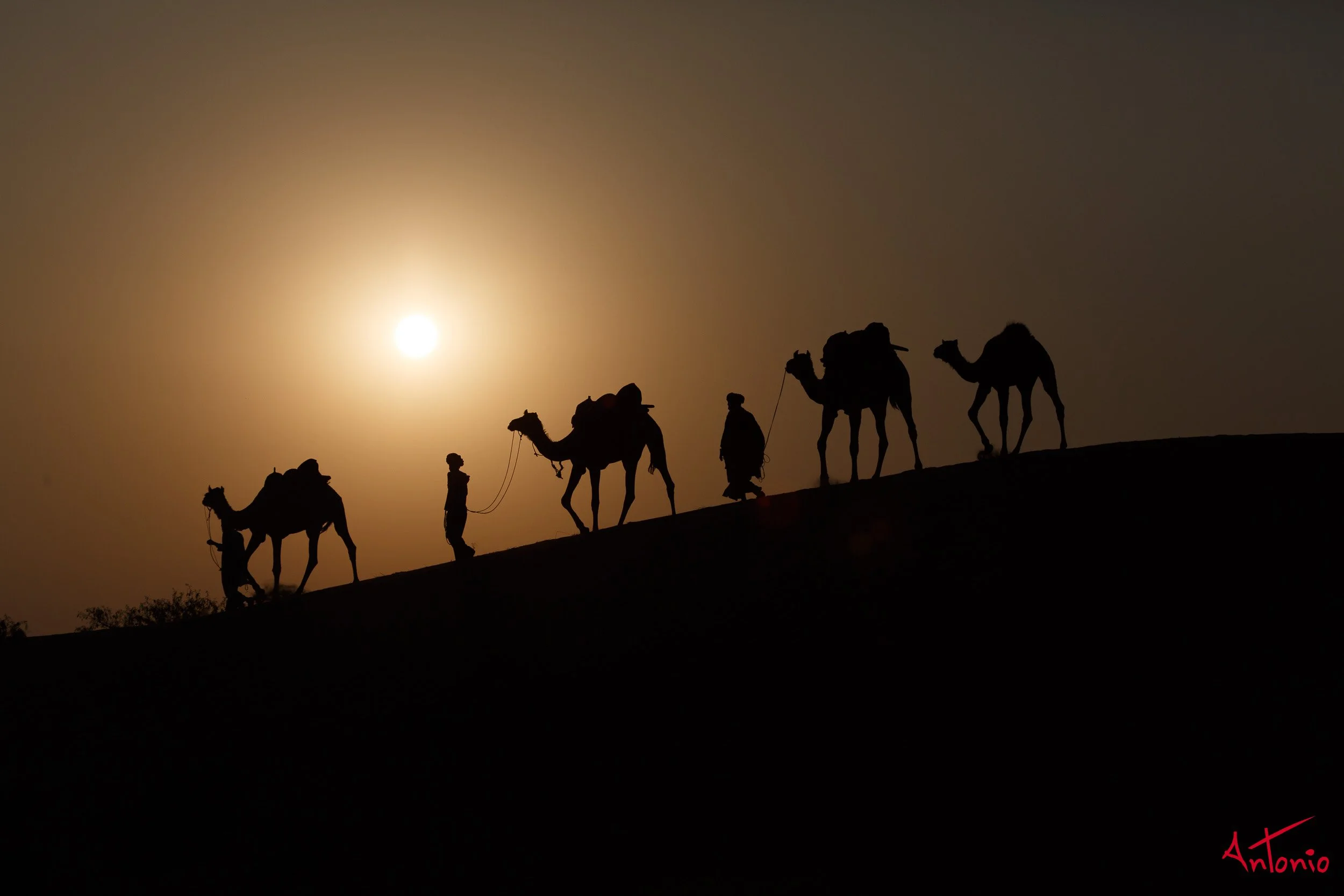 20121122_170655 India_Jamba.jpg