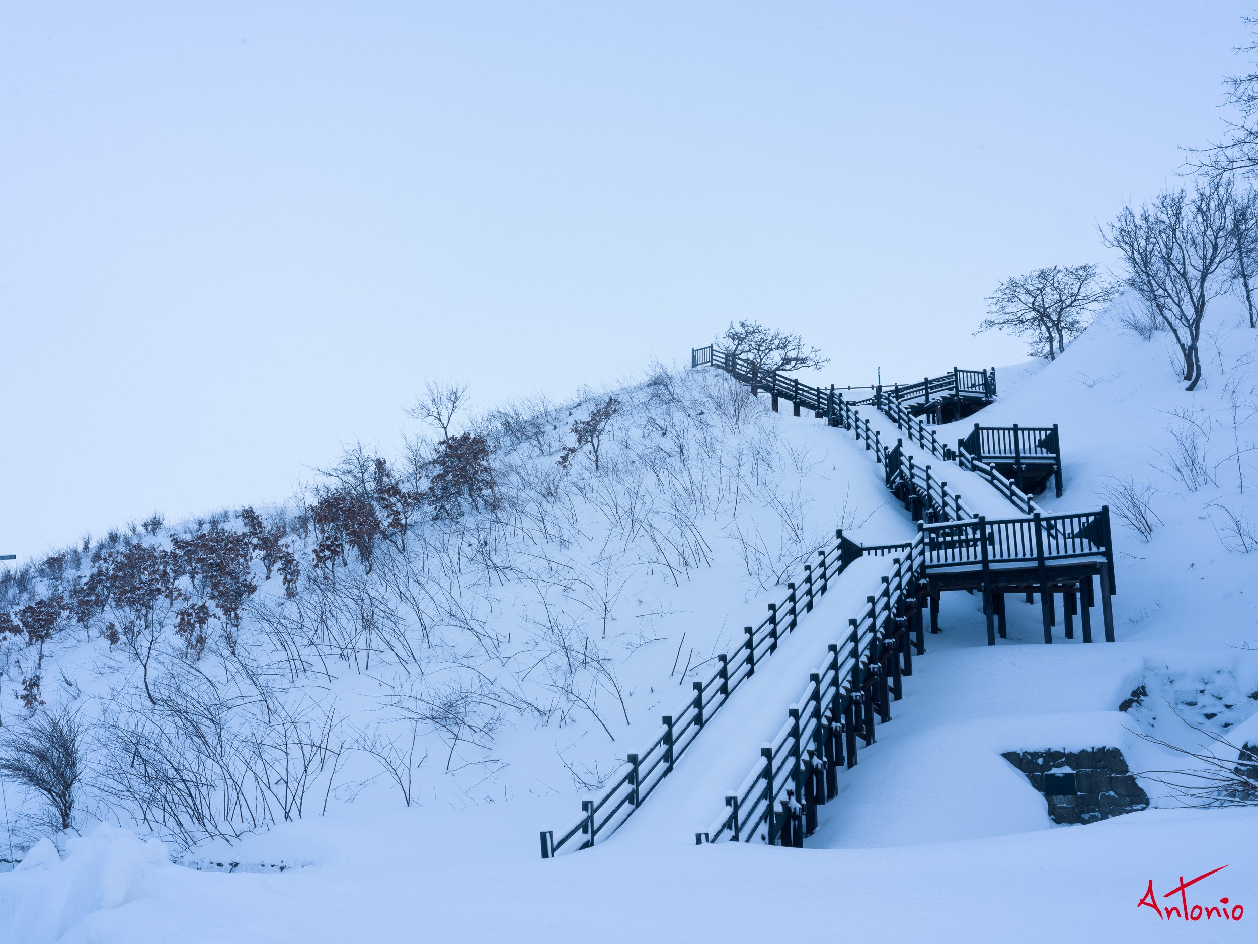 20240111_011252 B0003541 Hokaido, Japan.jpg