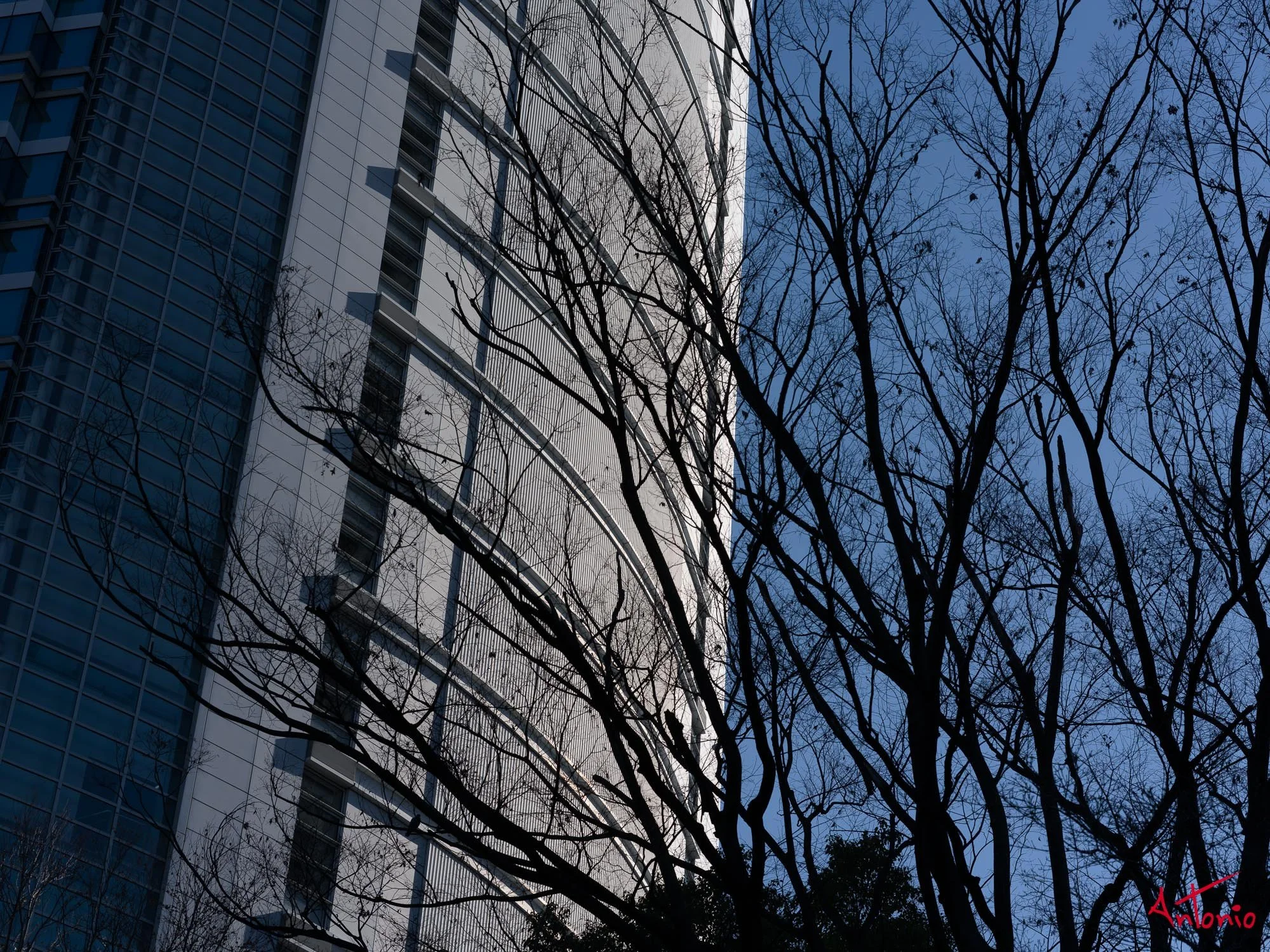 20240123_154730 B0002478 Tokyo.jpg