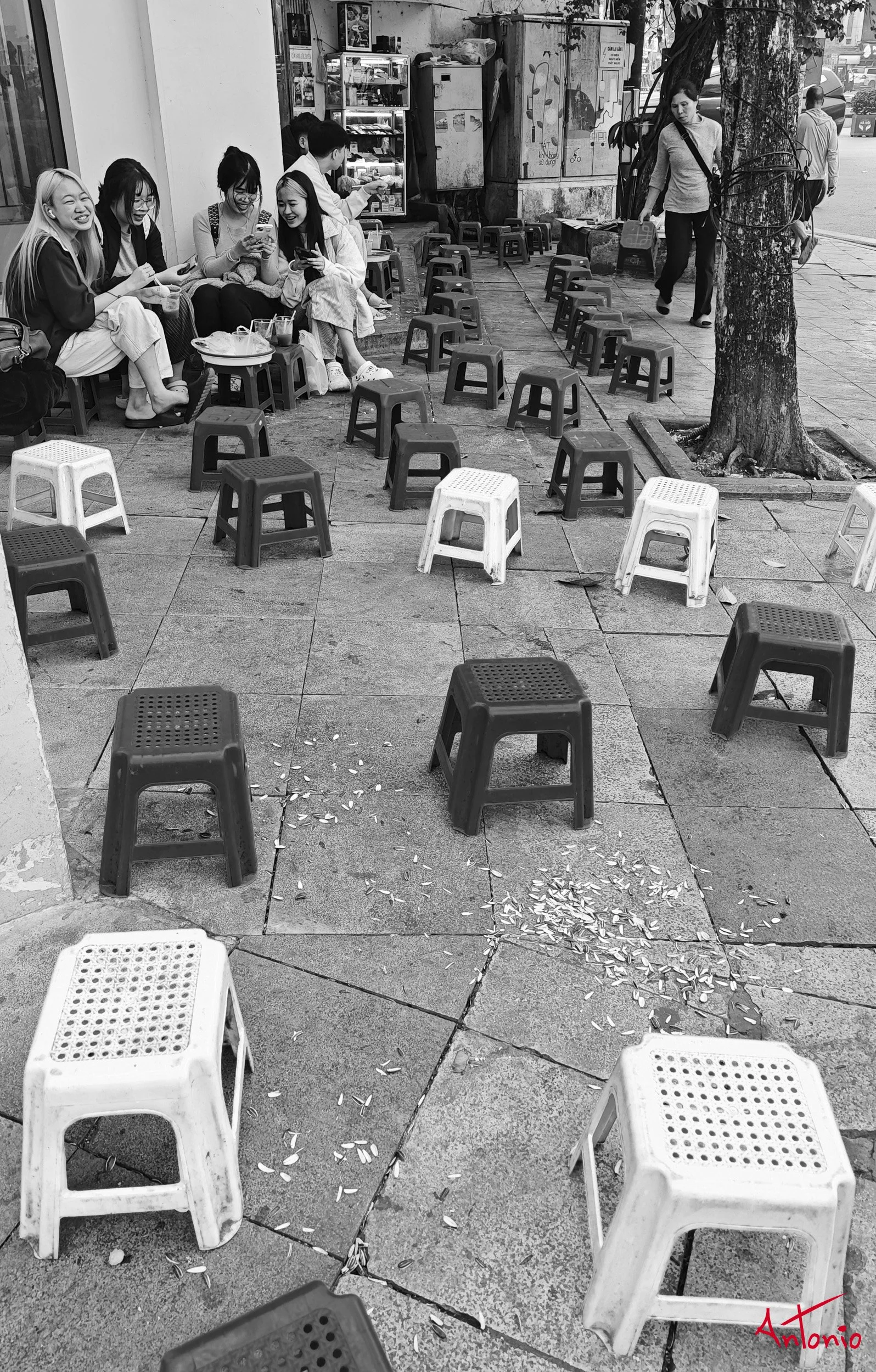 20260205_162915 Ha Noi, Vietnam.jpg