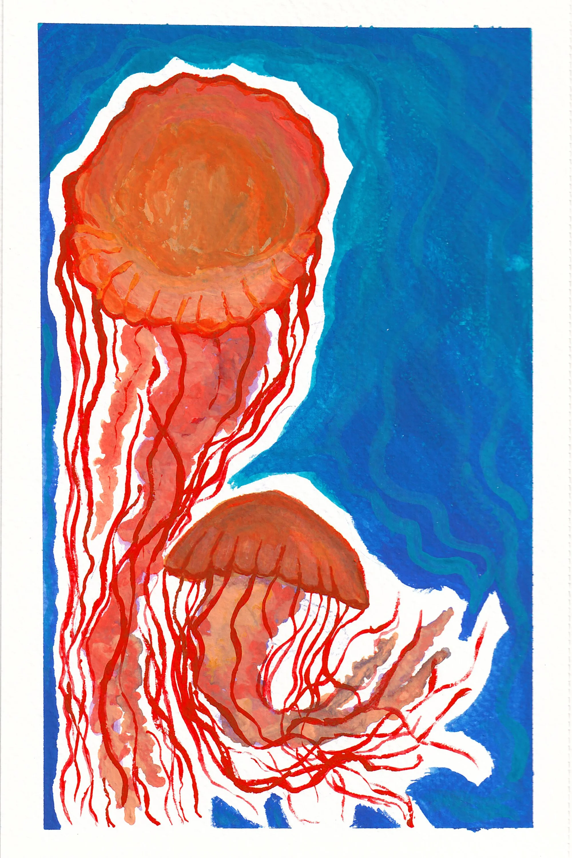 Sea Nettle Jellyfish (8.5x6.5) Original Painting