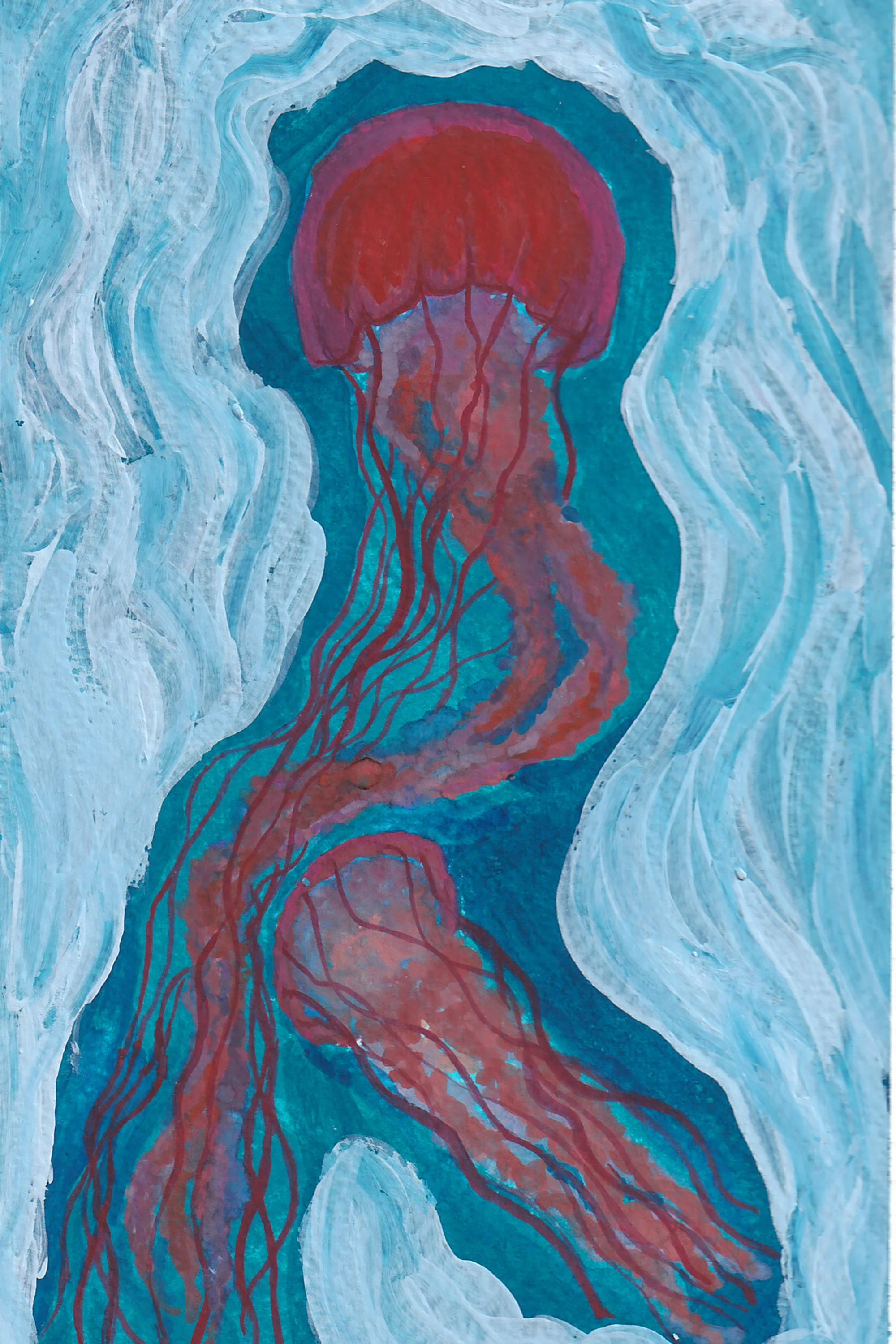 Arctic Jellyfish Print